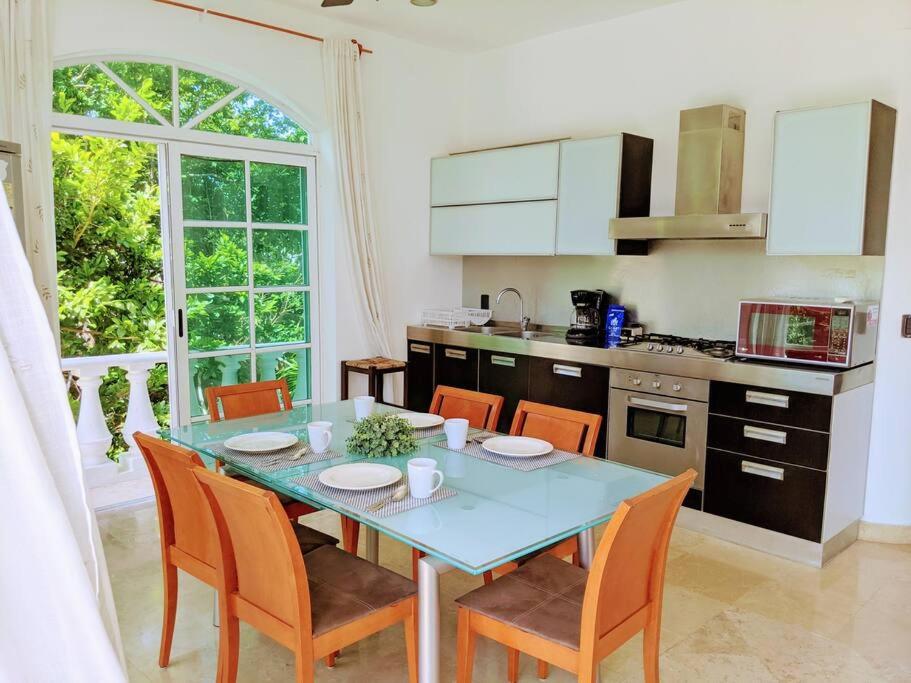 3br PHouse Rooftop terrace with plunge pool and ocean view walk to beach 5th ave and Cozumel Ferry view 5