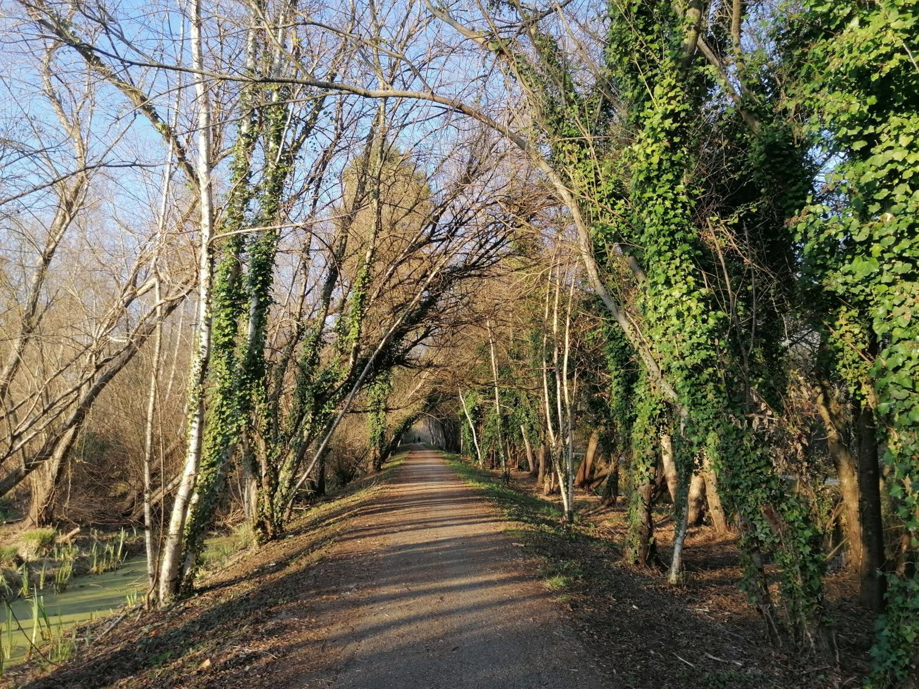 Photo 29