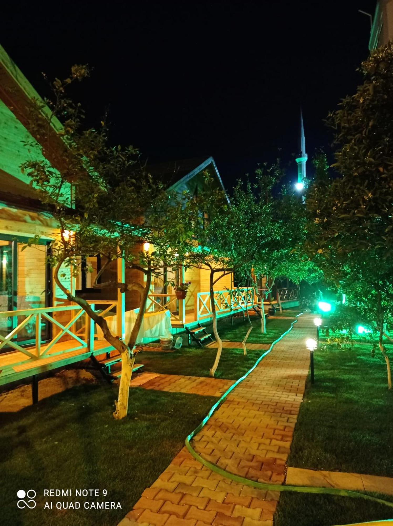 Photo 23