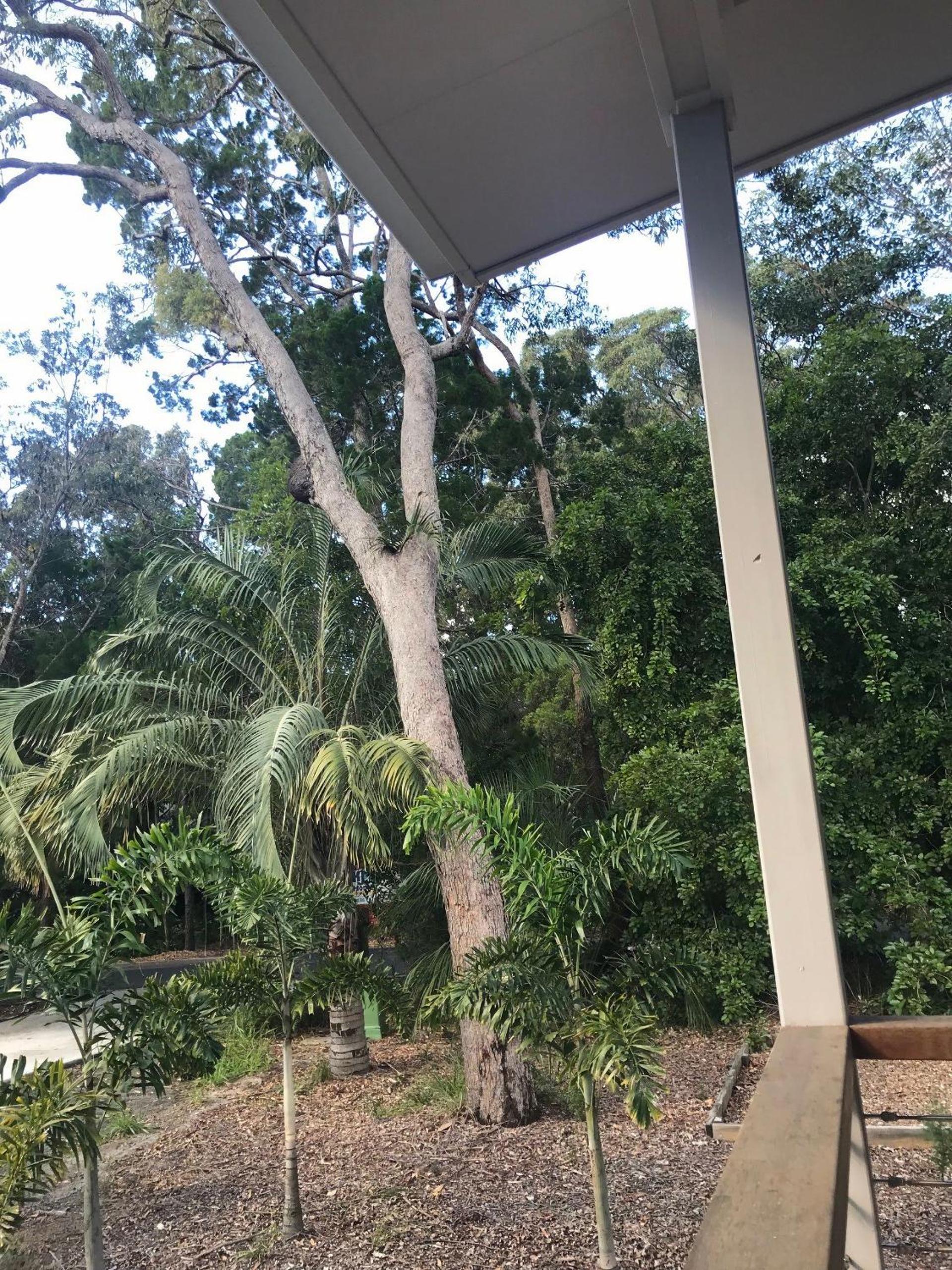 15 Esprit Drive Rainbow Shores