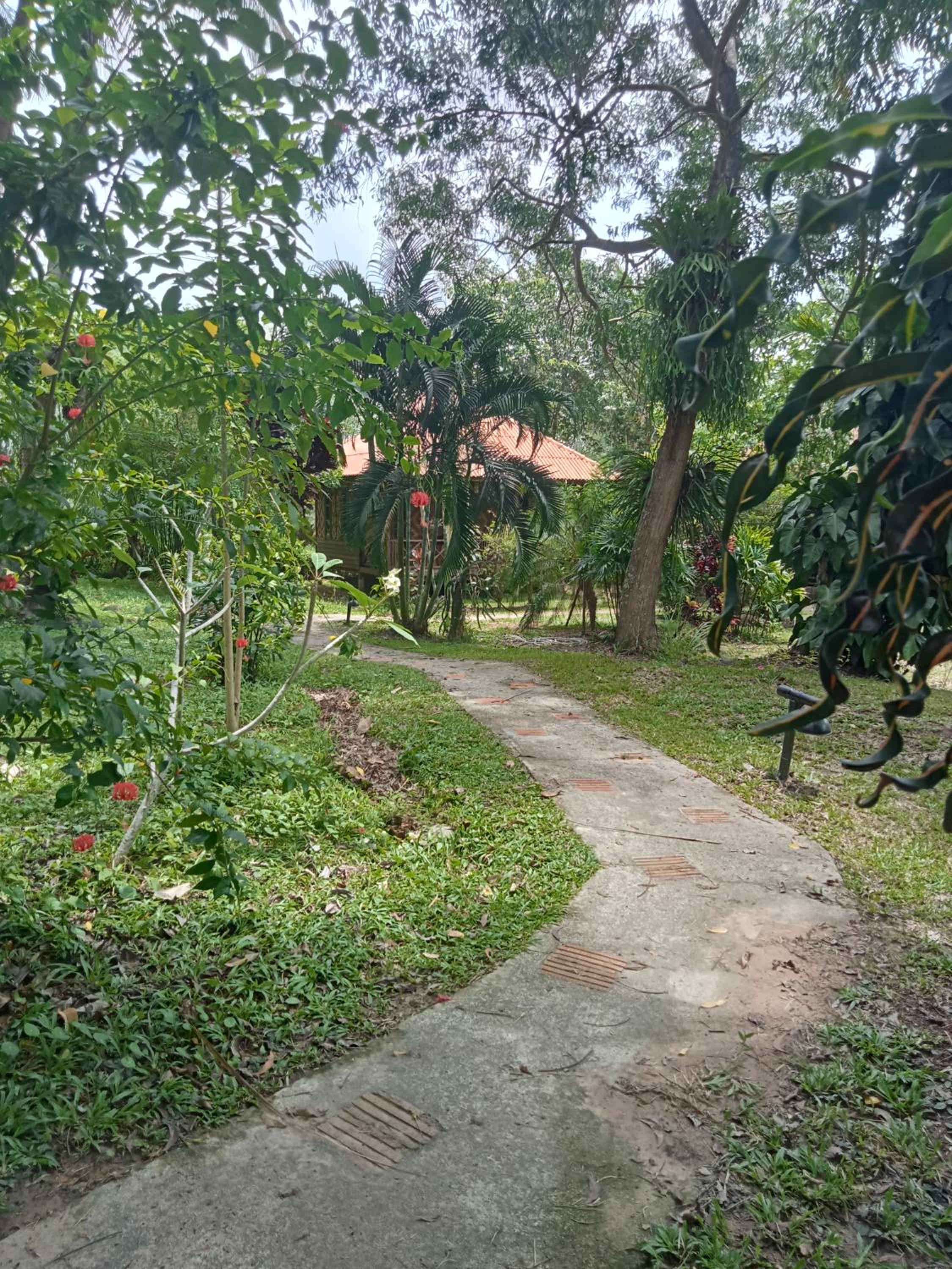 Photo 18