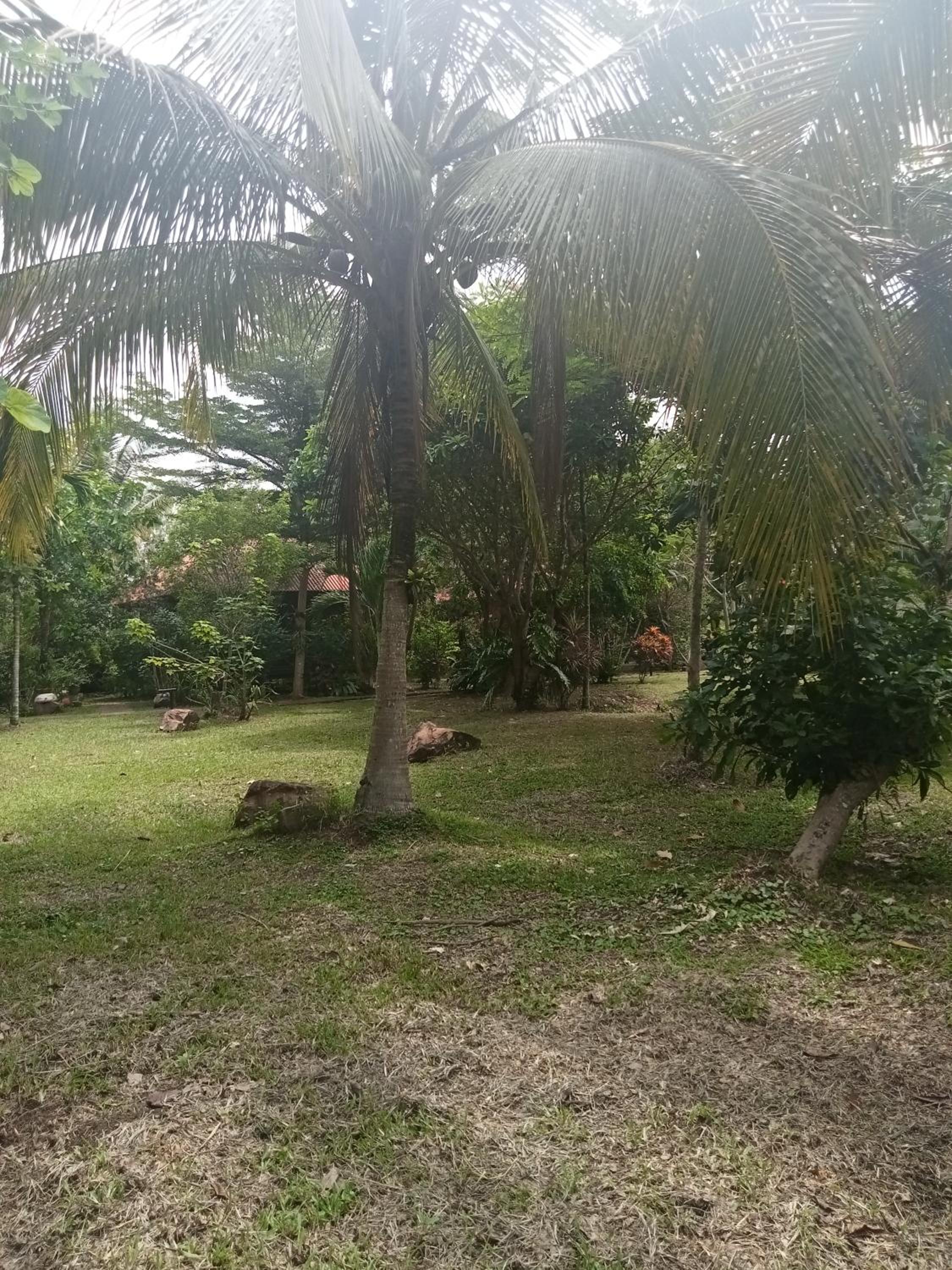 Ban Ban Bangalow view 4