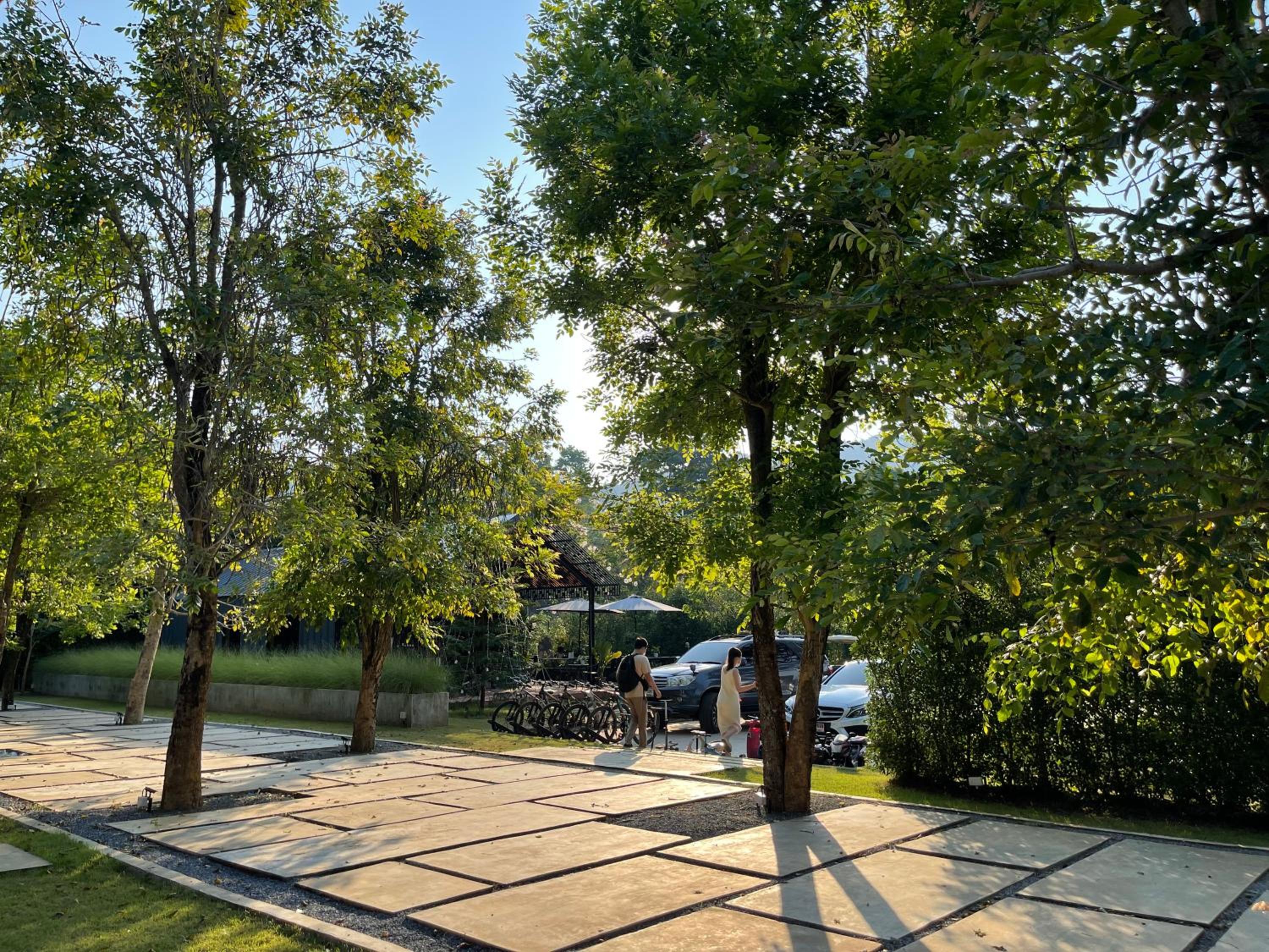 Photo 25