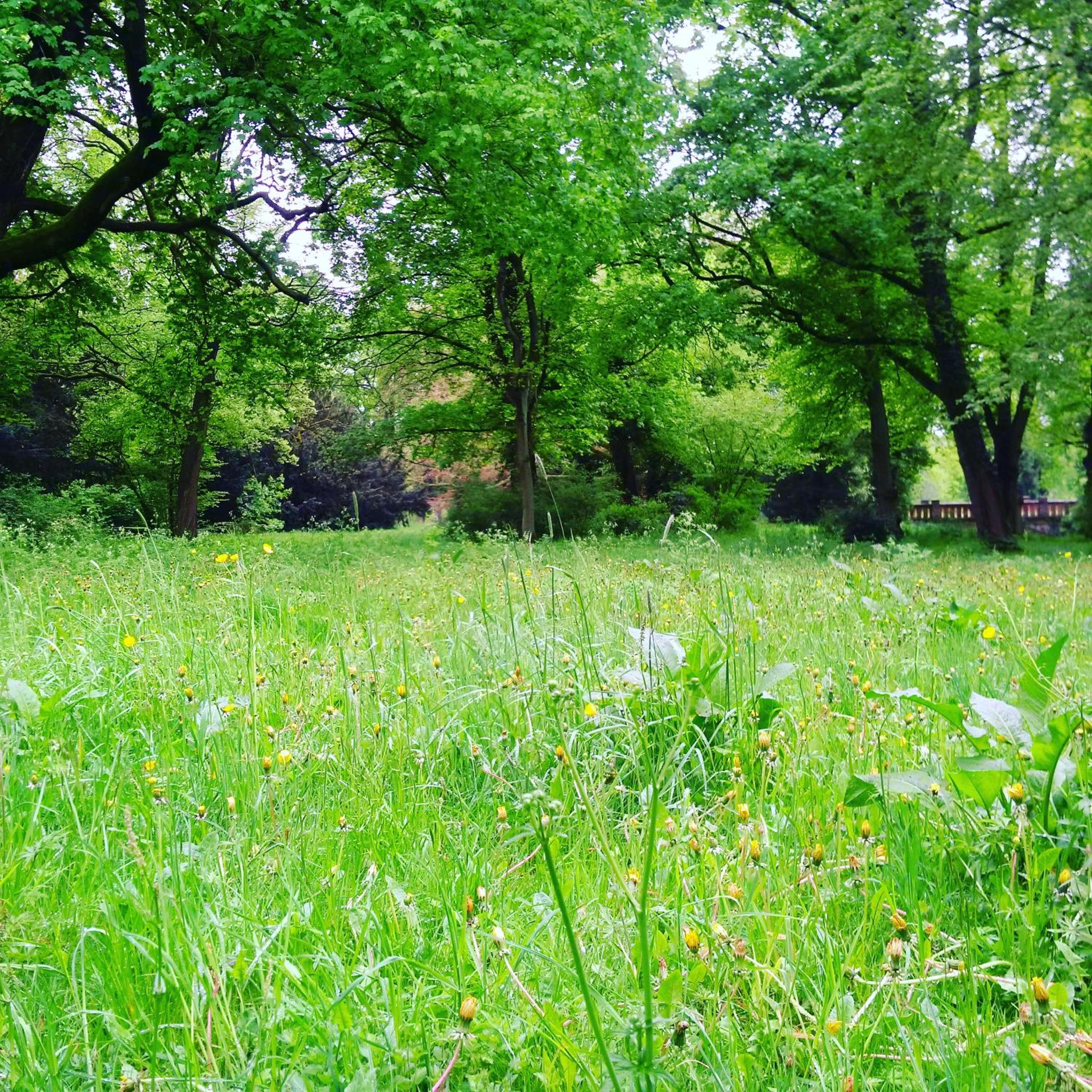 Kavaliershaus Krumke - Gästehaus im Schlosspark - Schlüsselbox - kein TV