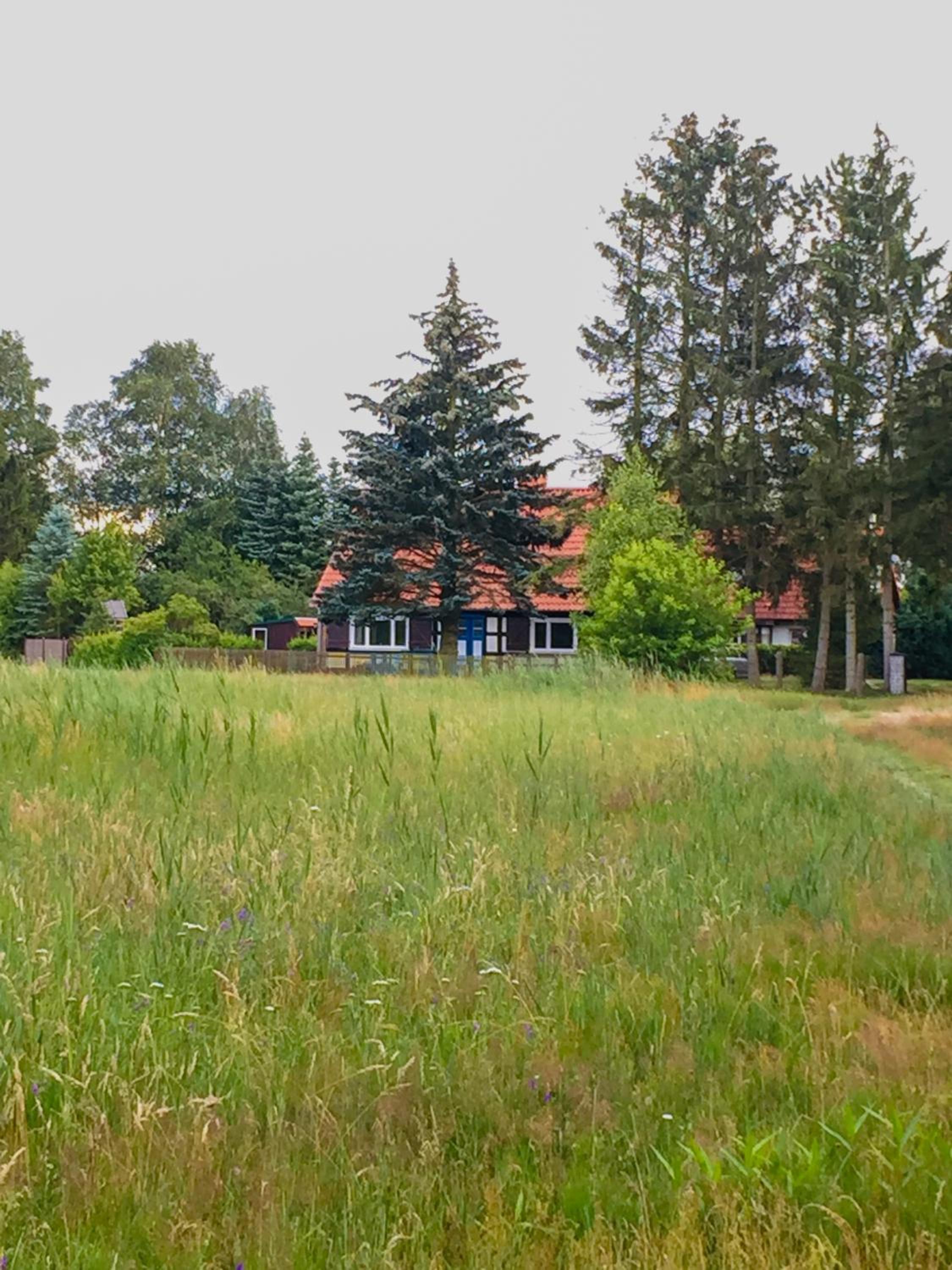 Ferienhaus am Seegrund