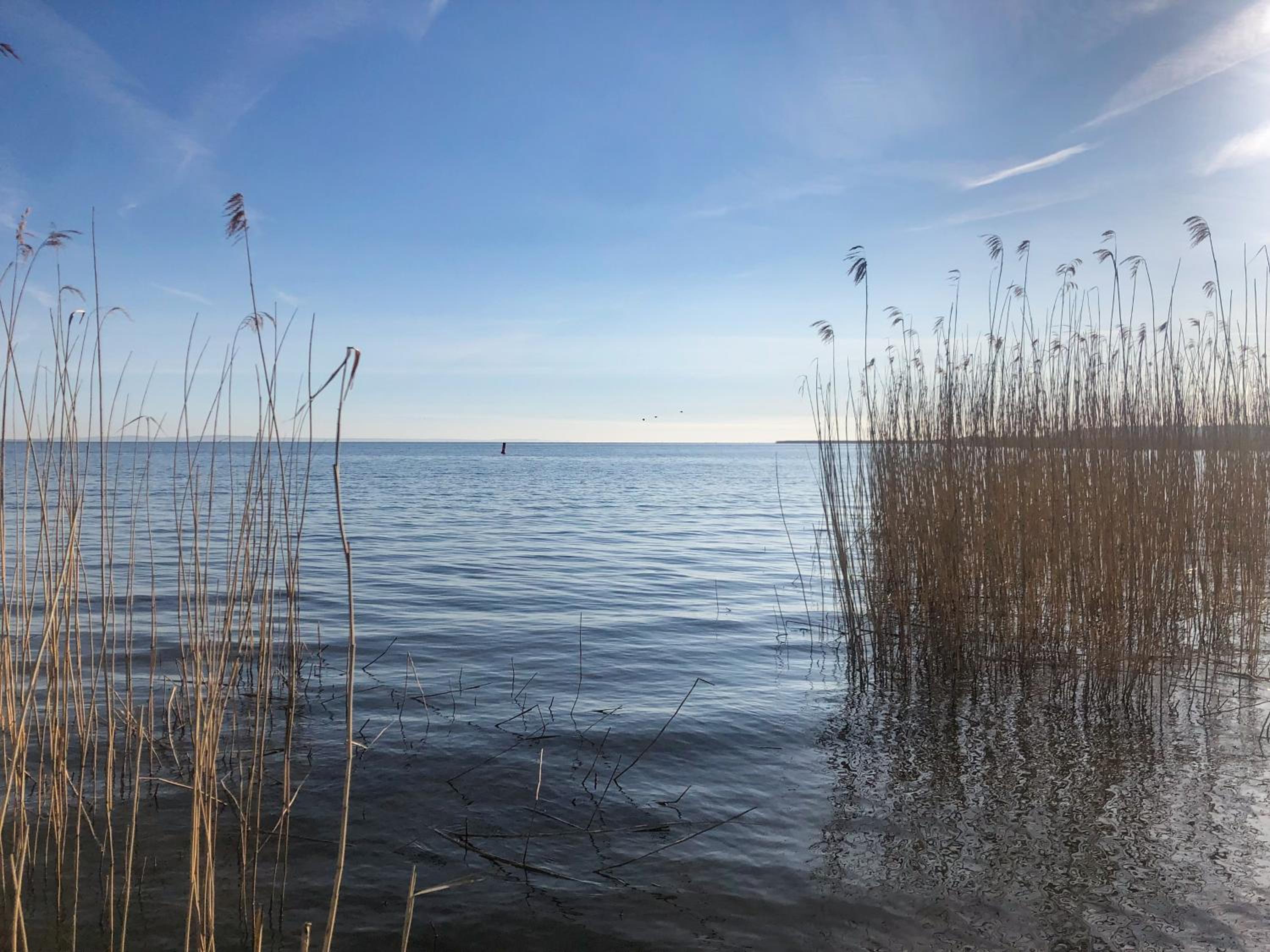 Ferienhaus am Seegrund