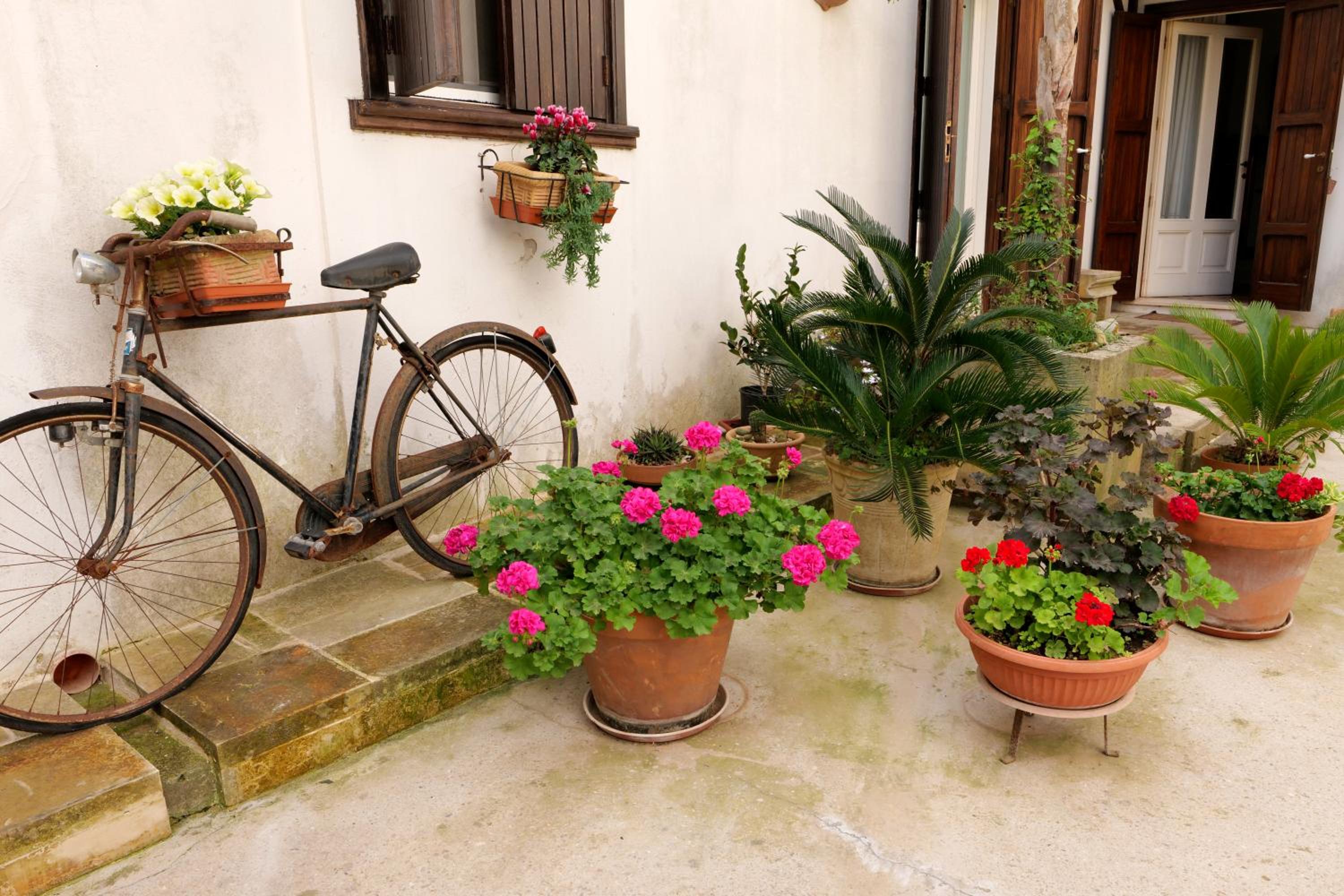 CASA FIORE view 5