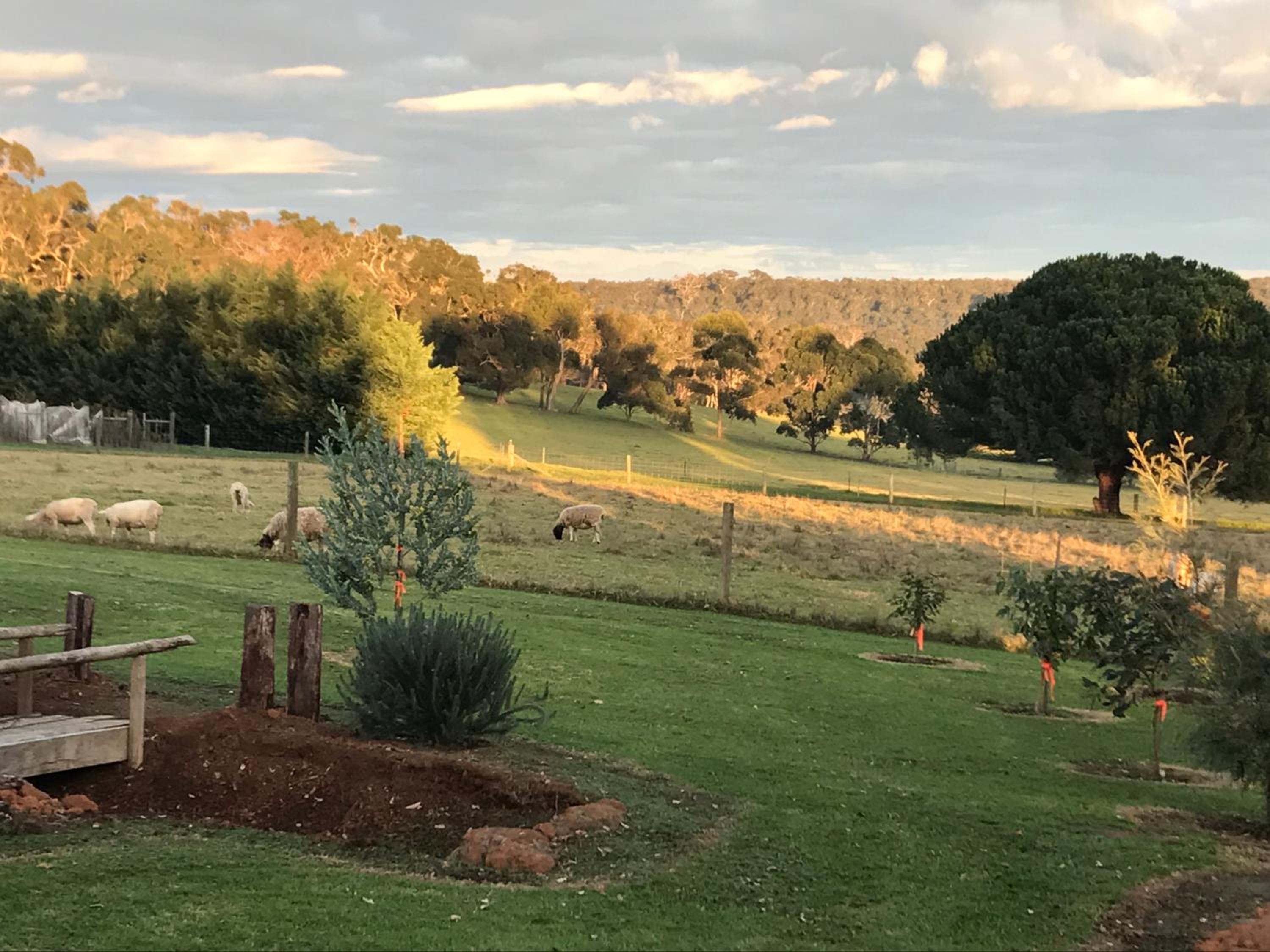 Albany Vacations - The Grange on Kalgan Farmstay, Albany WA - Property Image 2
