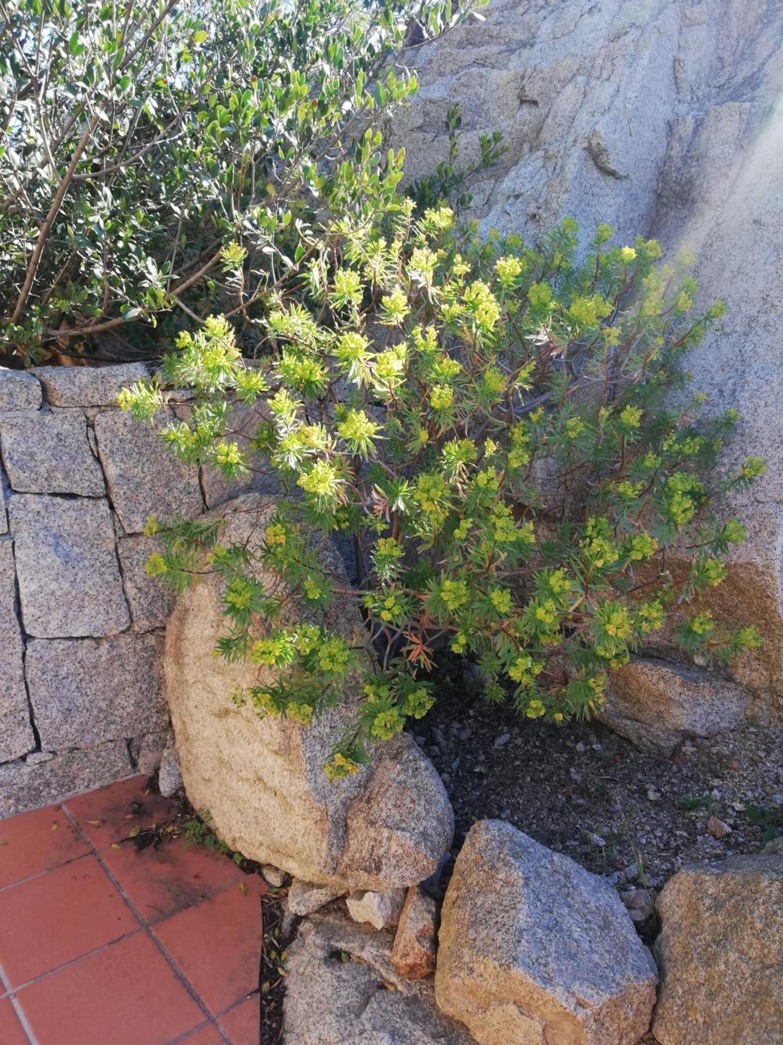 Photo 35