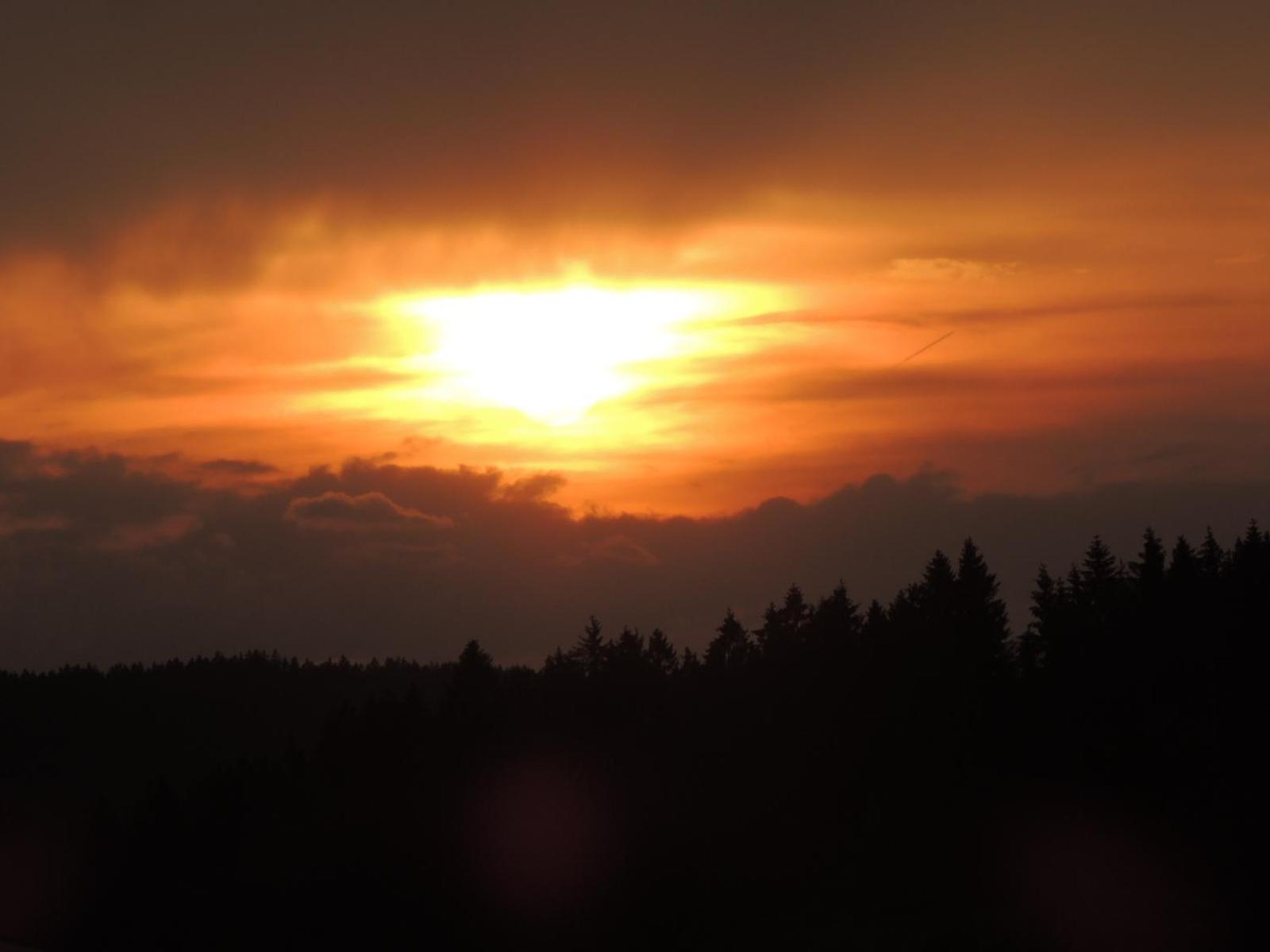 FW Zauberblick
