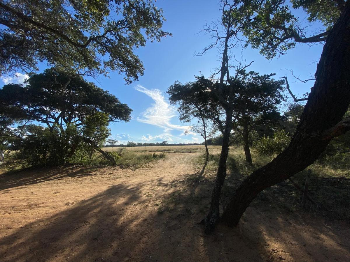 Limpopo Bushveld Retreat