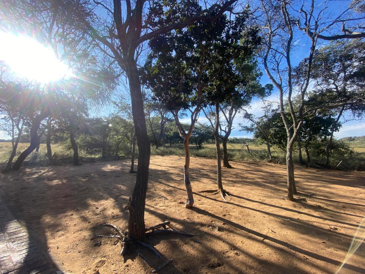 Limpopo Bushveld Retreat