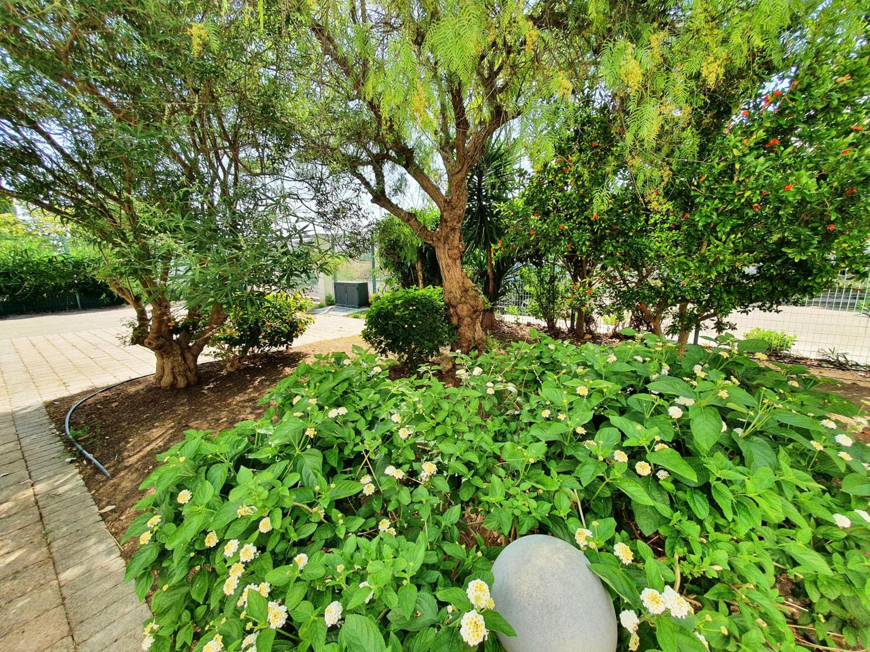 Via Ugento Apartments - GiHome photo 2