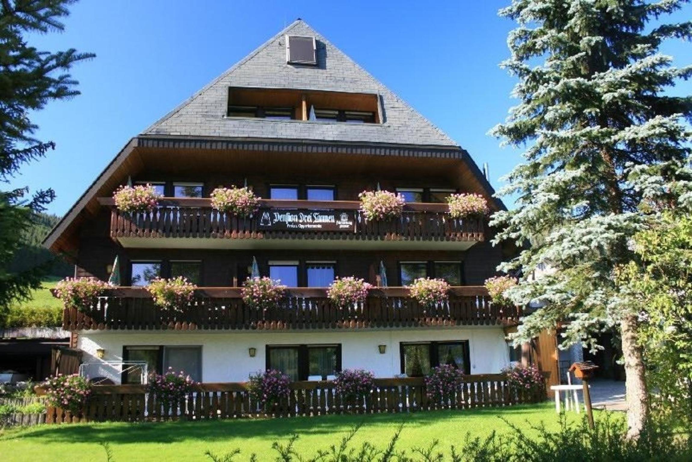 Drei Tannen - Wohnung 04 - Apartmenthaus, Titisee, nahe Badeparadies