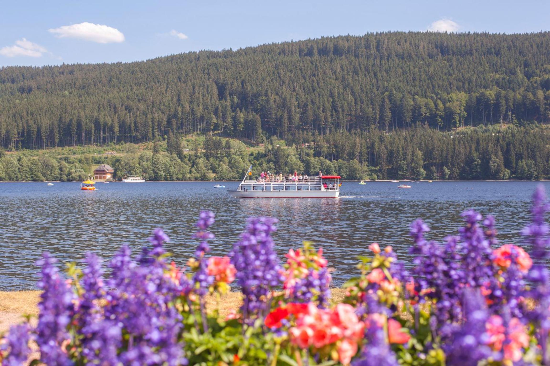 Drei Tannen - Wohnung 09 - Apartmenthaus, Titisee, Feldberg view 3