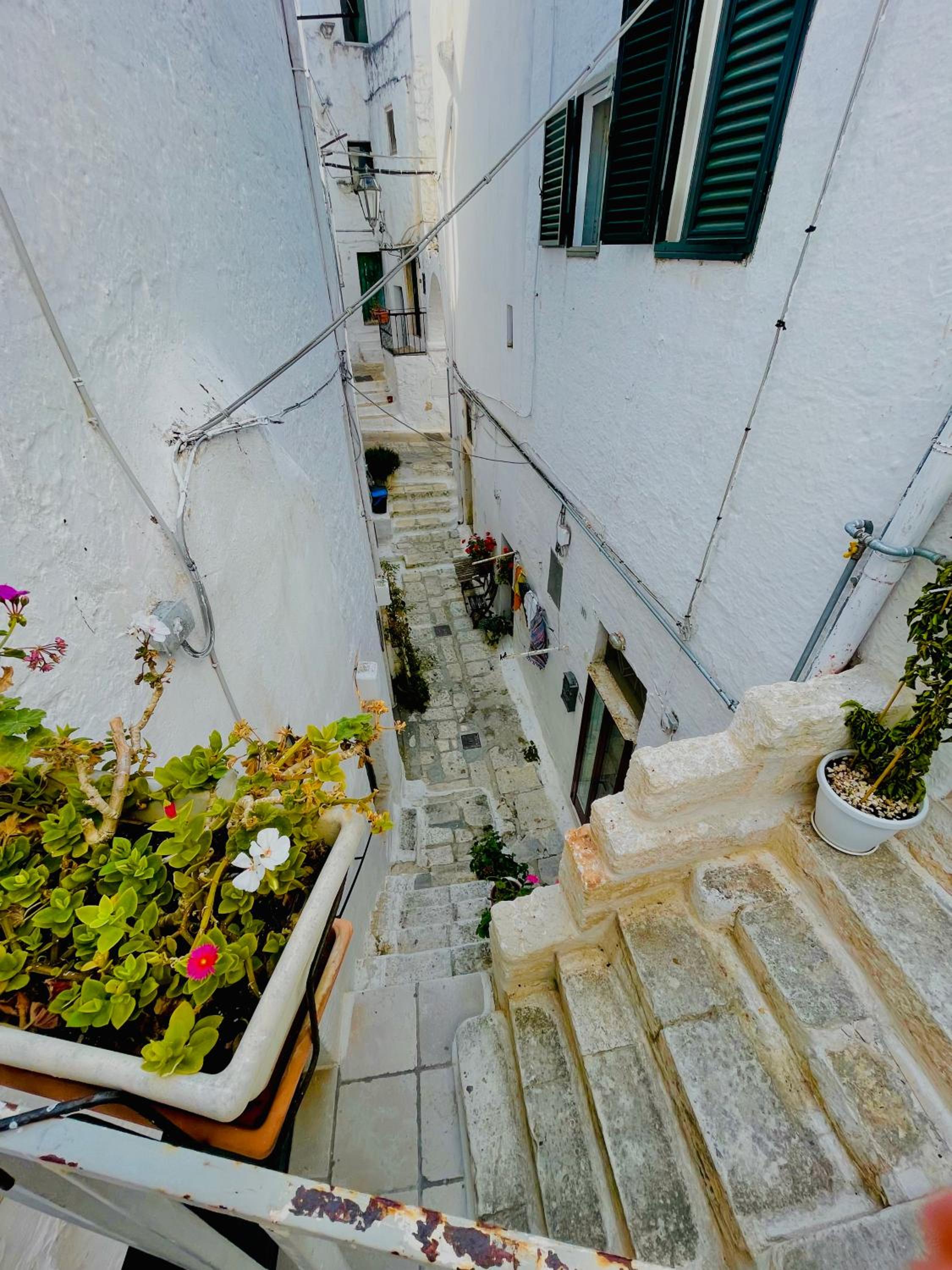 WHITE STONE- La nicchia view 3