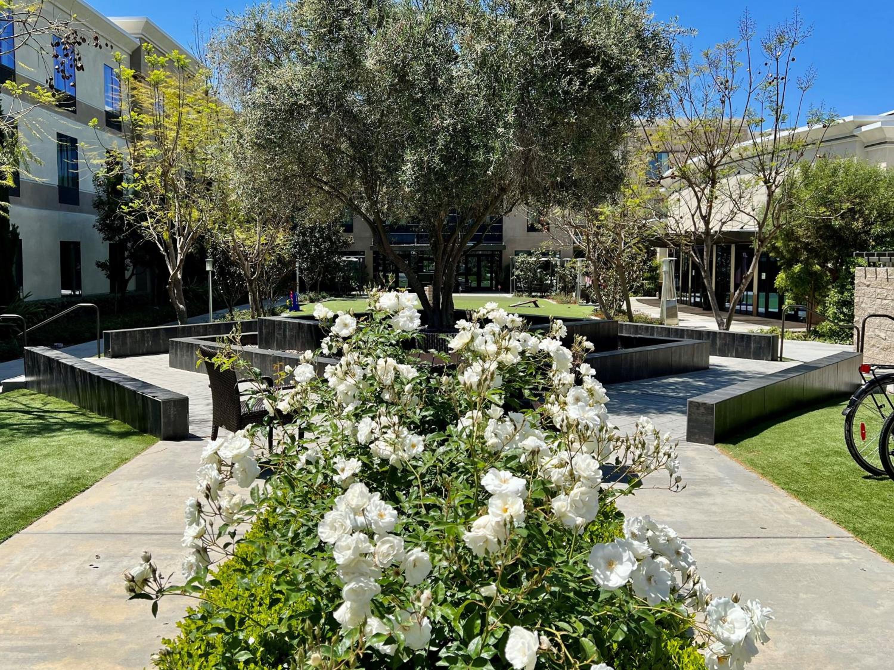Holiday Inn Carlsbad/San Diego by IHG