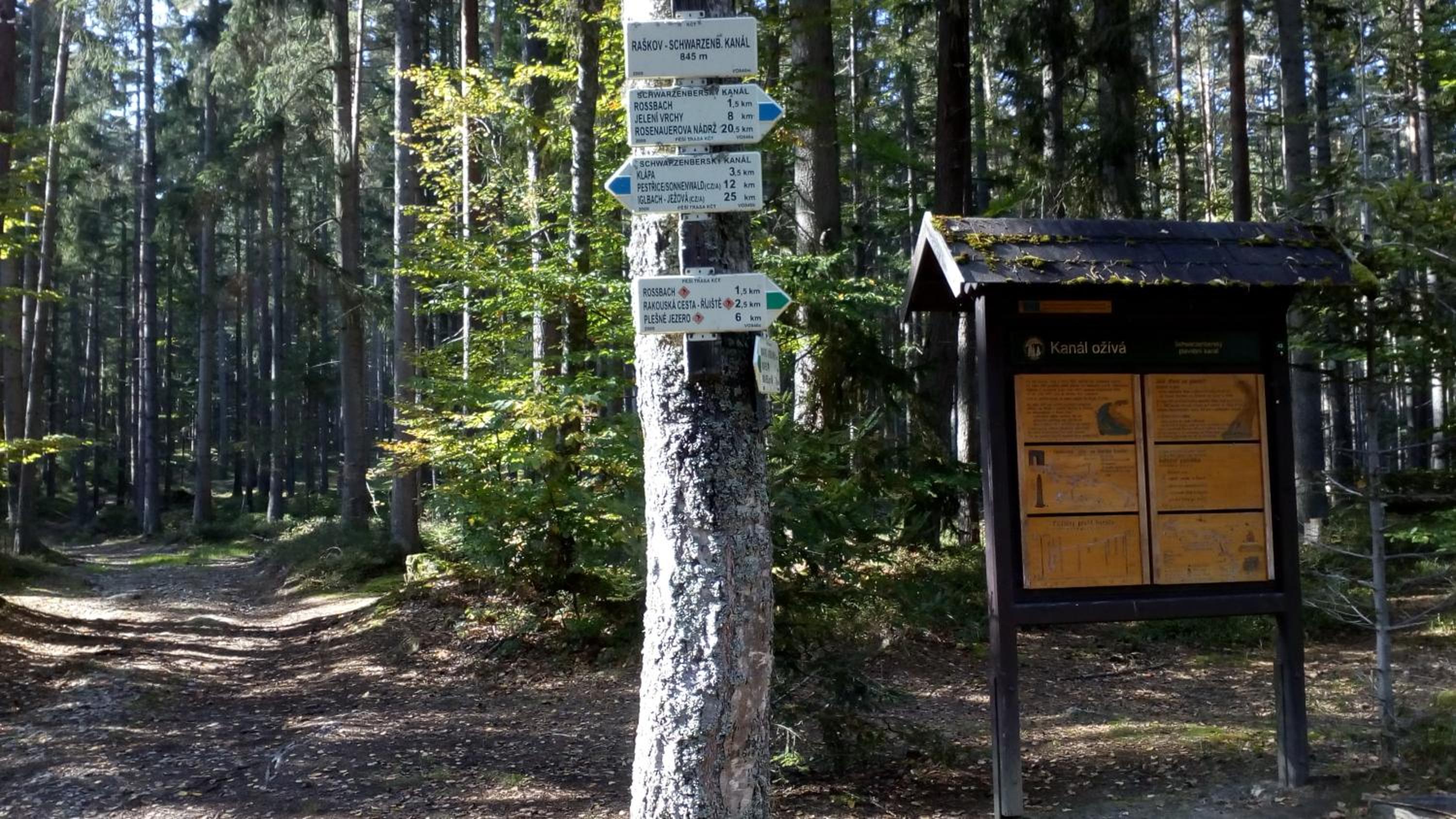 Apartmán PECKA - Nová Pec