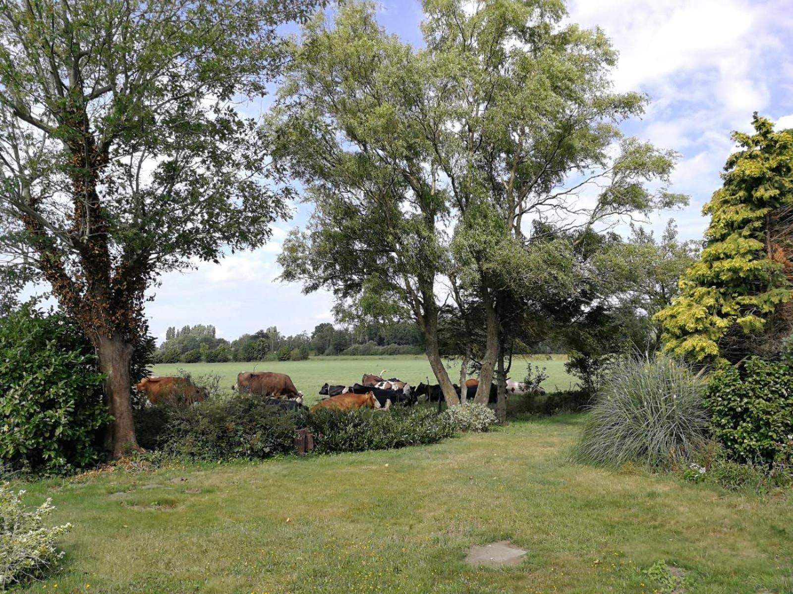 Vinkelaar 11