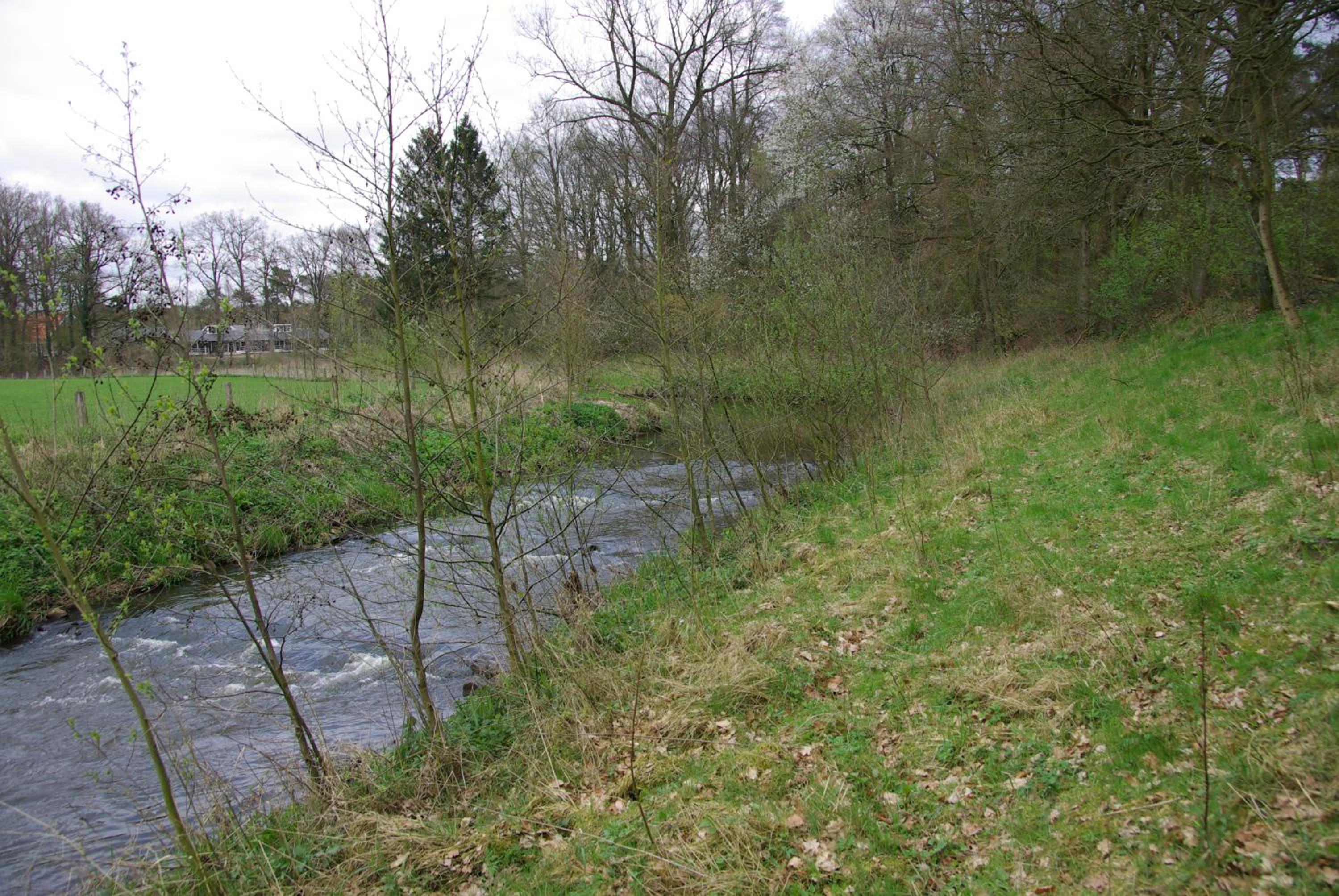 Photo 48
