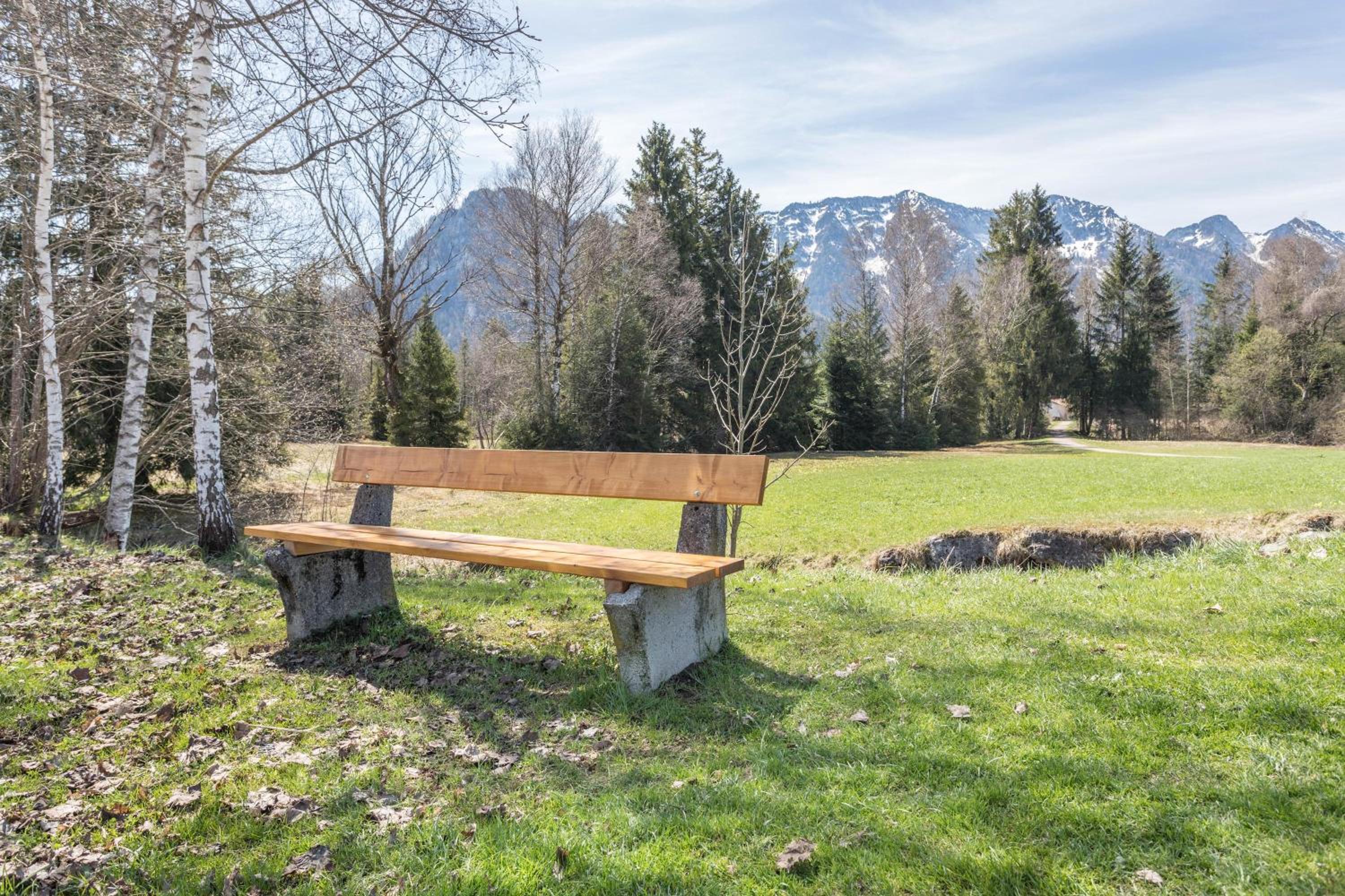 Alpenauszeit im Zirbenholz Chalet view 3
