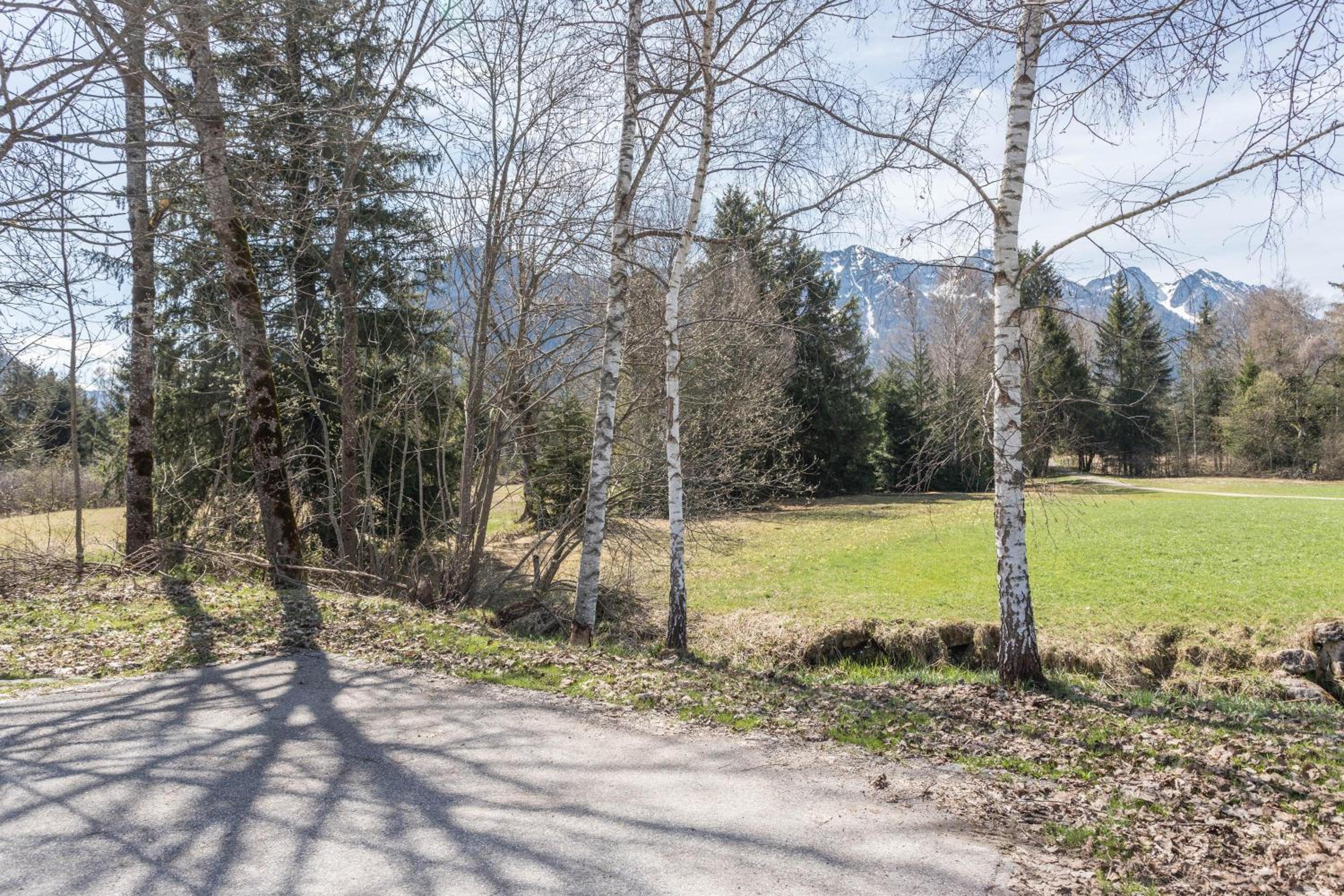 Alpenauszeit im Zirbenholz Chalet view 2