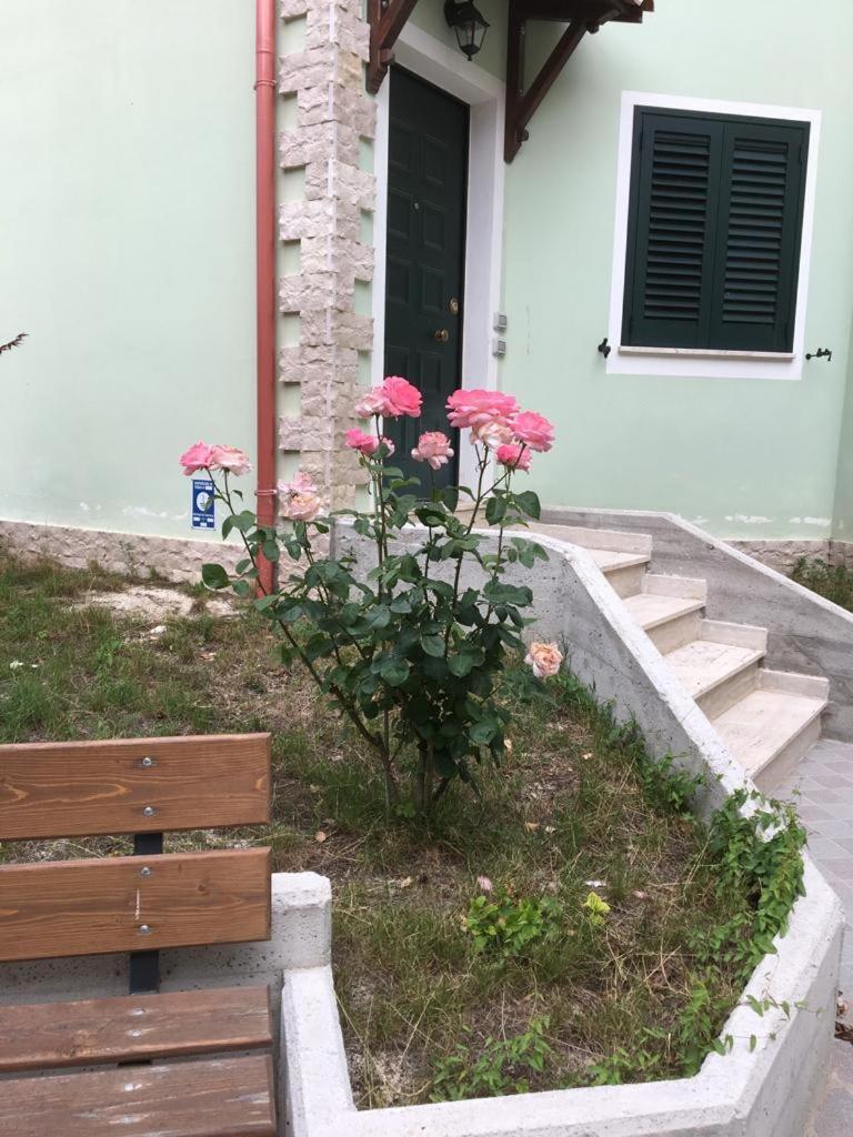 Photo 20