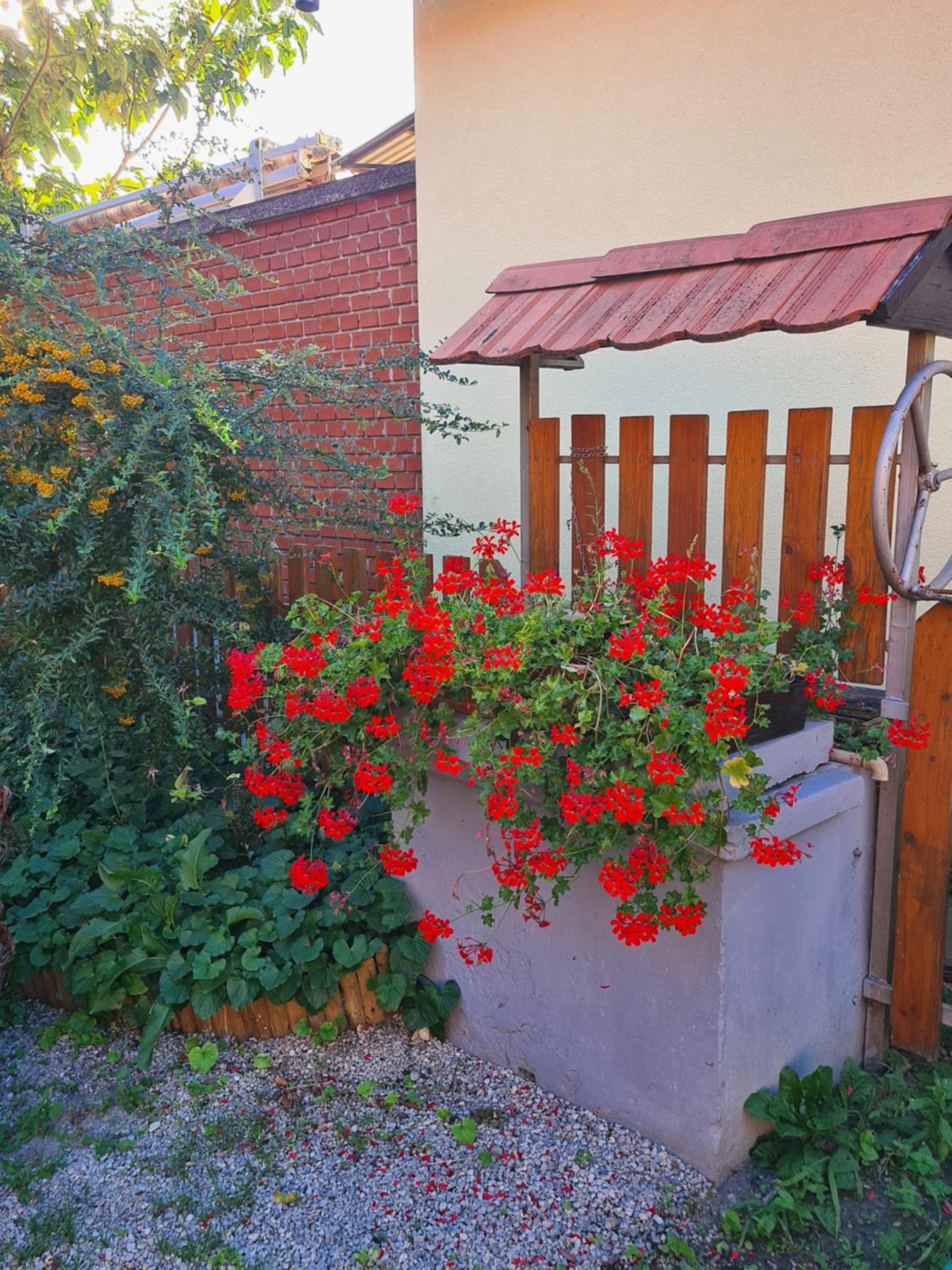 Kriszta apartman