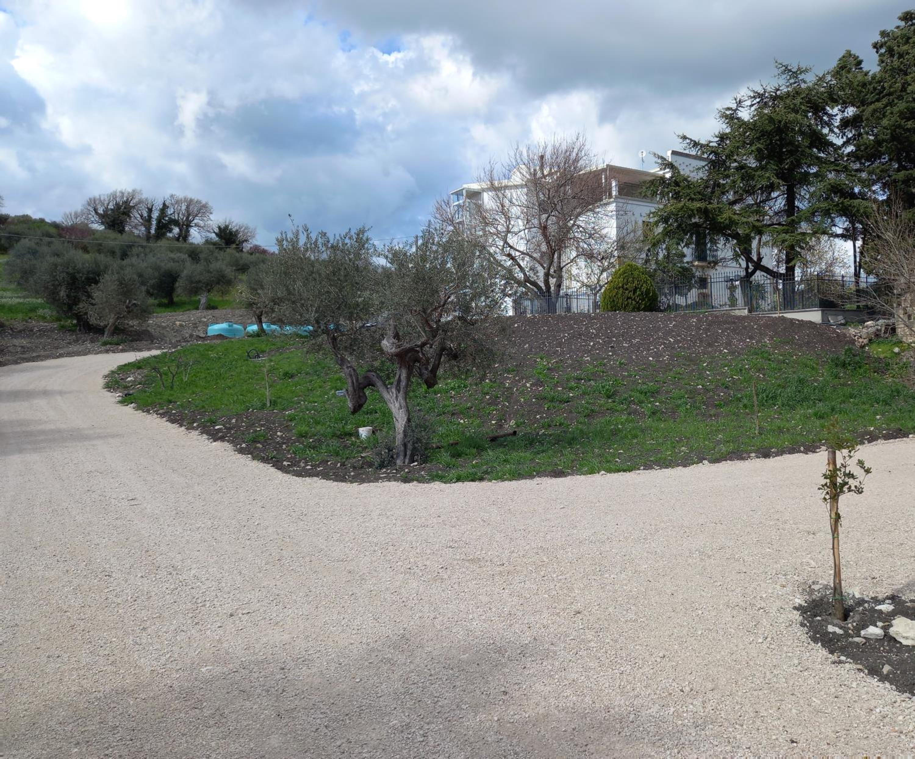 Affittacamere Masseria Montefedele