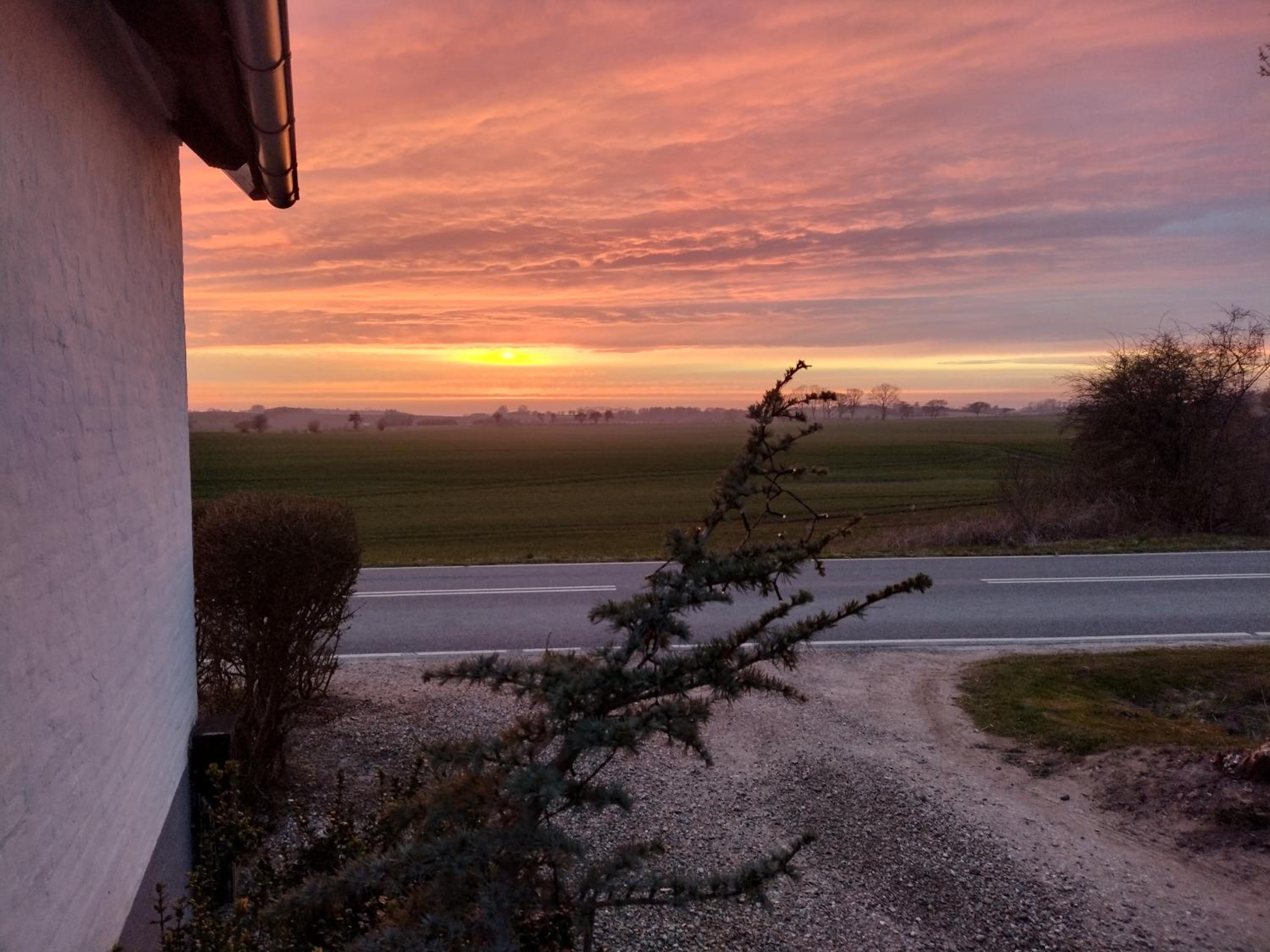 Hus ved skov view 3