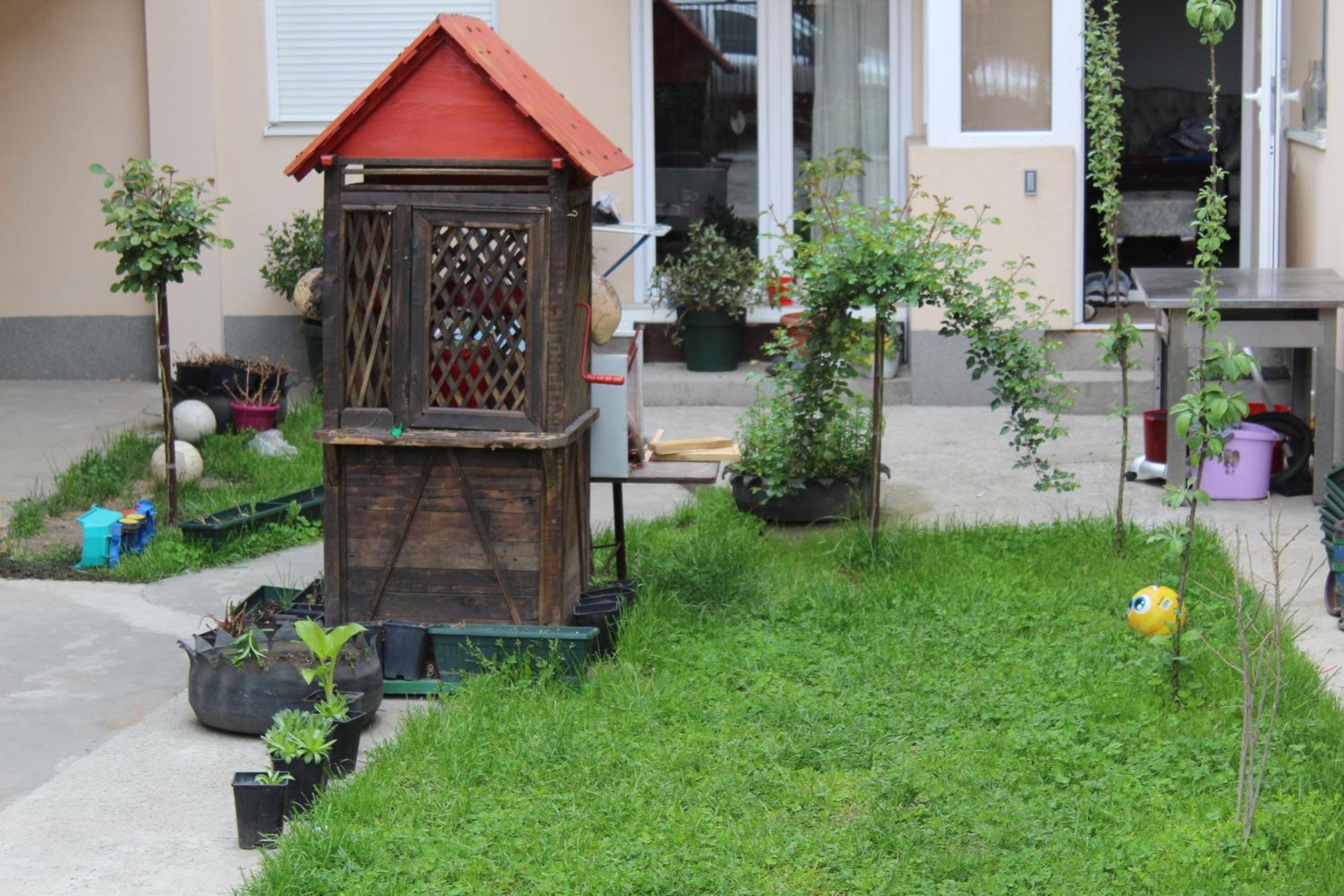 Photo 6