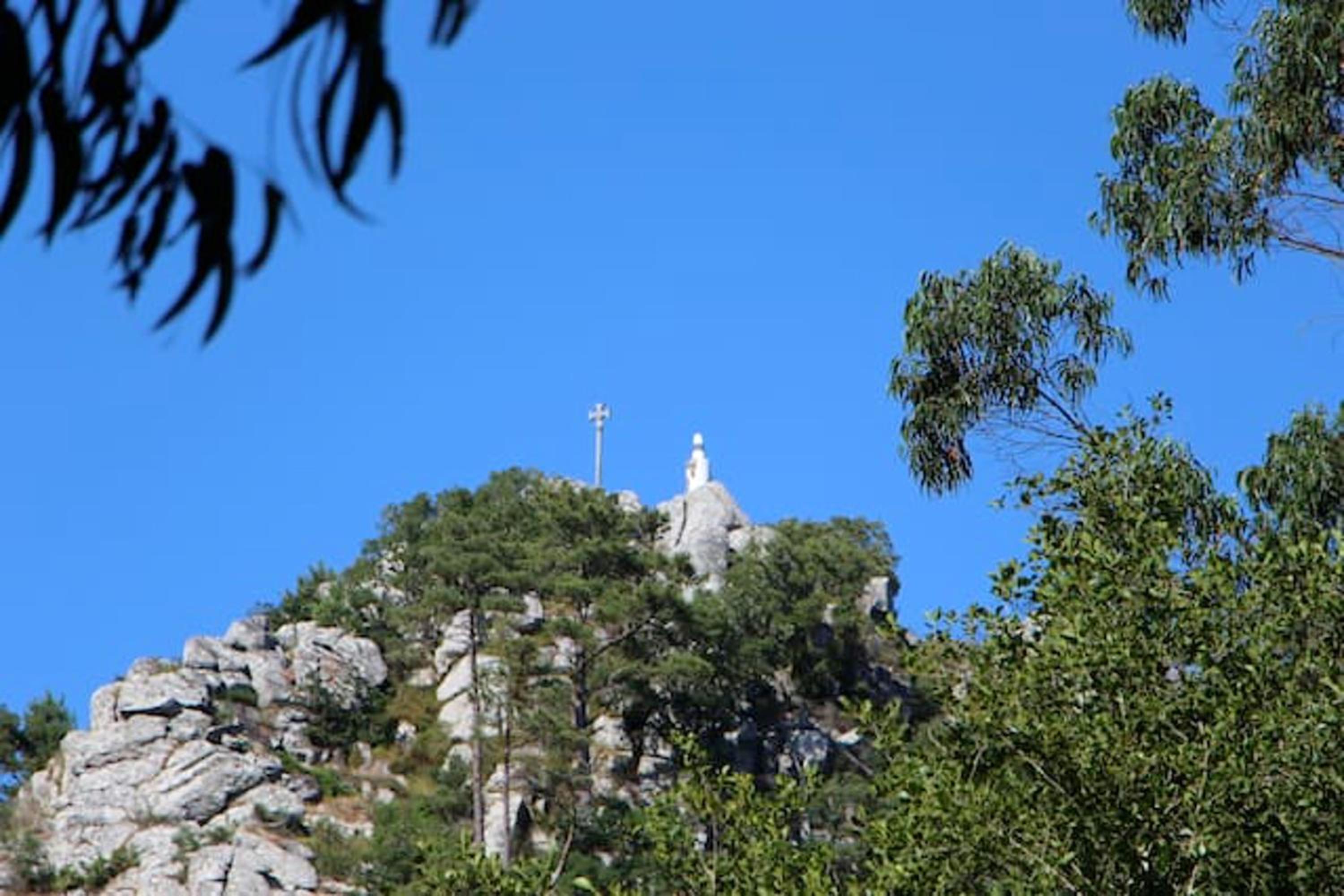 Photo 24