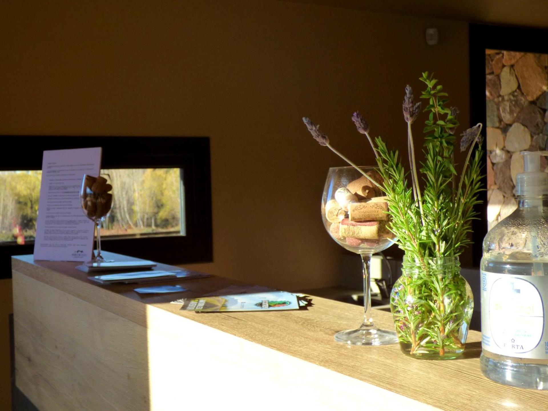 Ayres de Uco Lodge & Wine Lovers