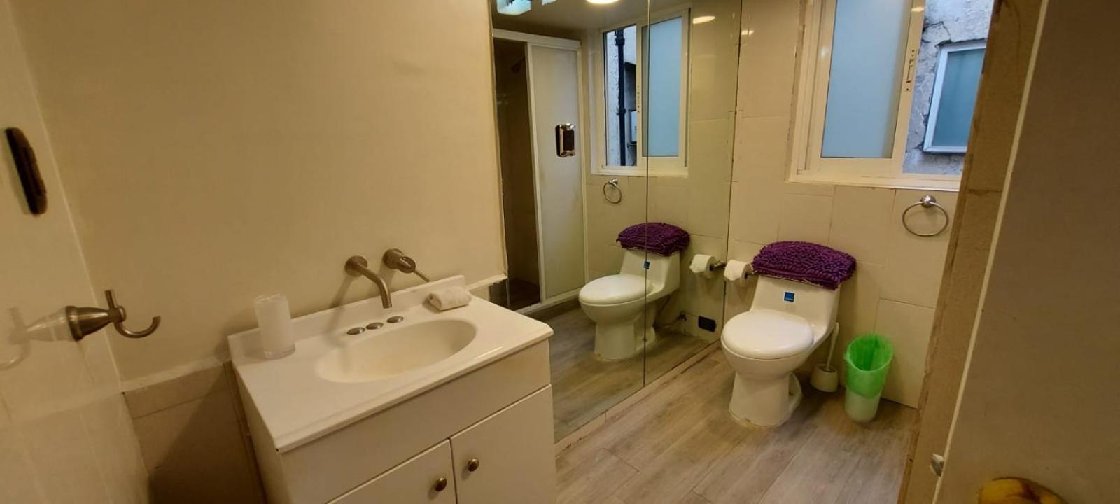 Beautiful Apartment @POLANCO view 4