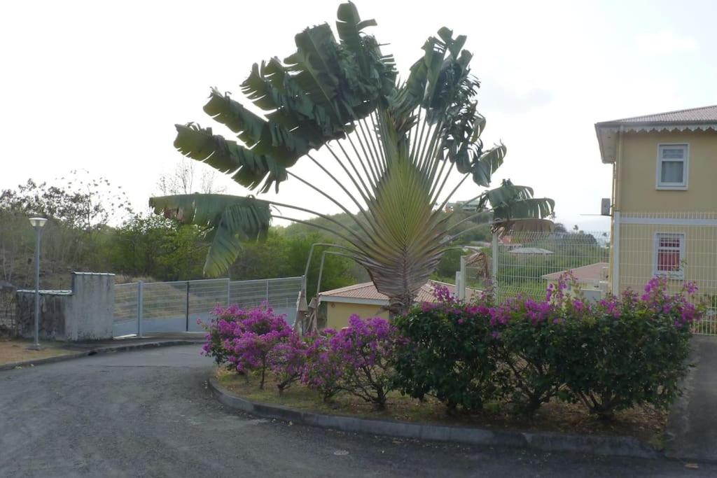 T2 Tt Confort/Wifi 200m plages Anses Mitan 3 Ilets