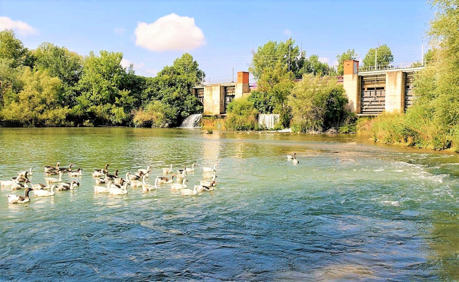 Casa Rural Don Alonso view 5
