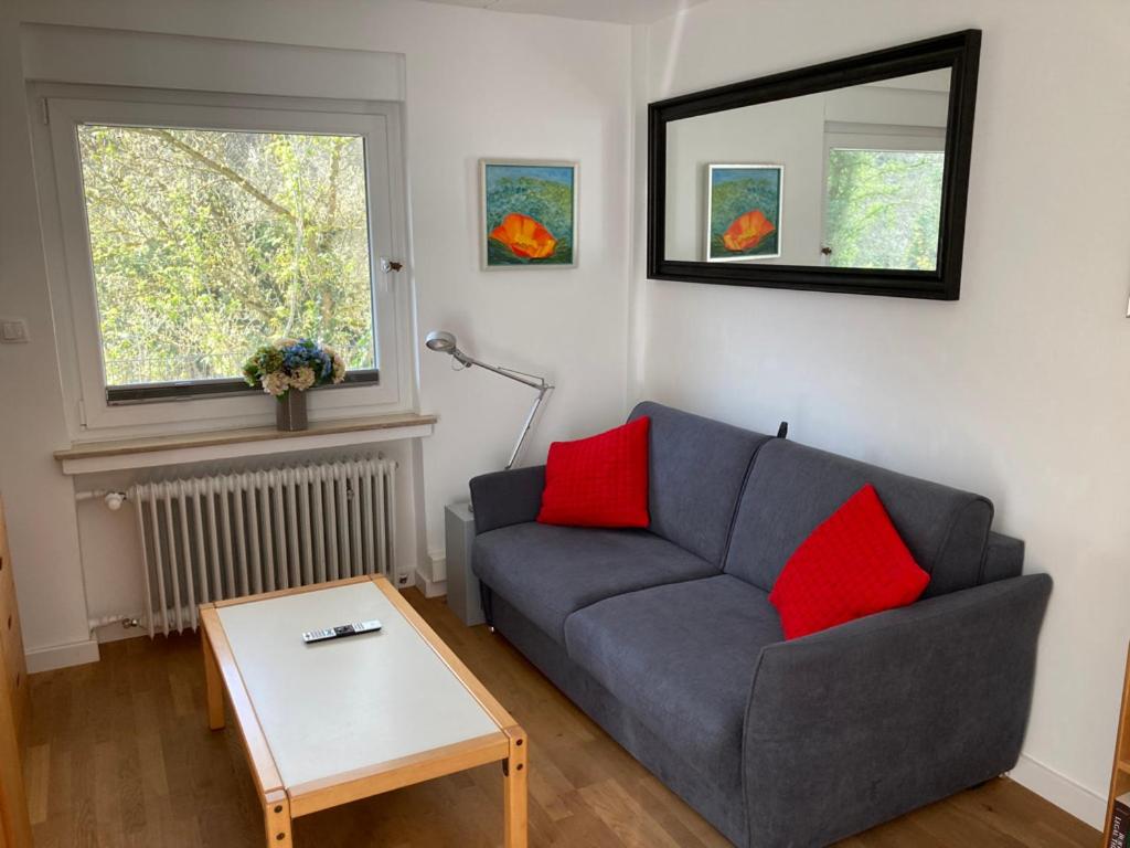 Großzügiges Zimmer mit Terrasse am Rheinsteig view 4