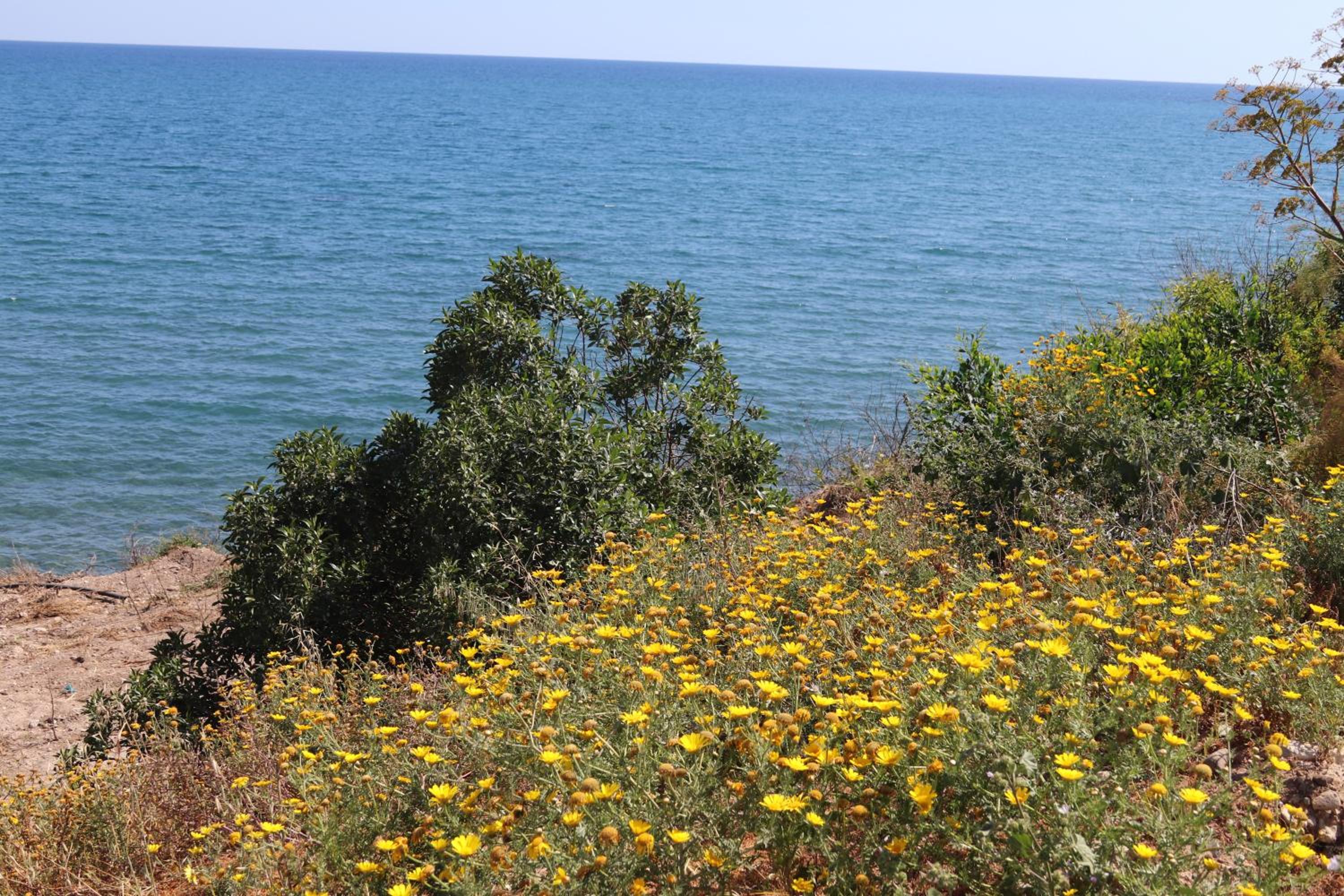 Summer Dream Cyprus