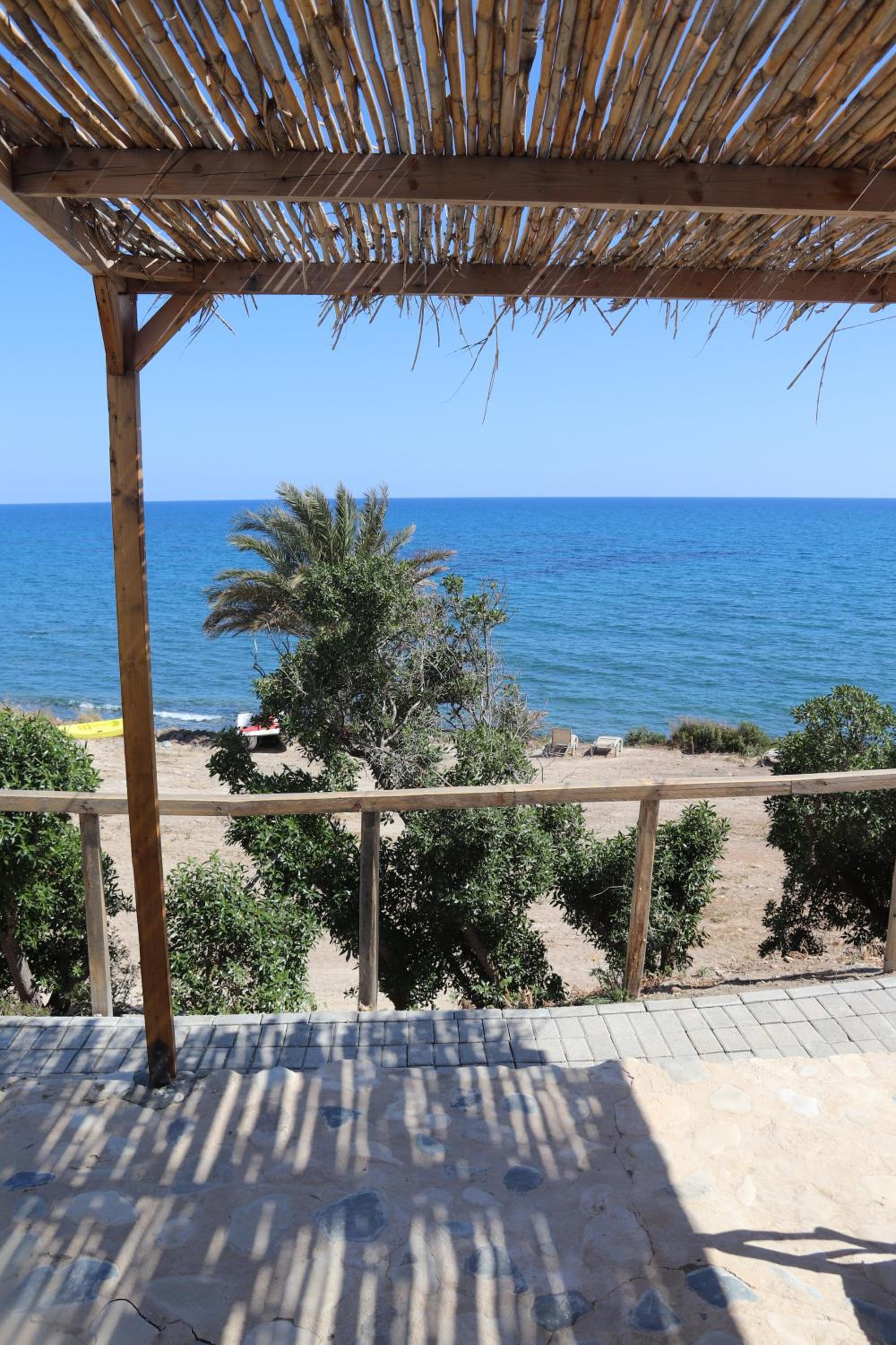 Summer Dream Cyprus