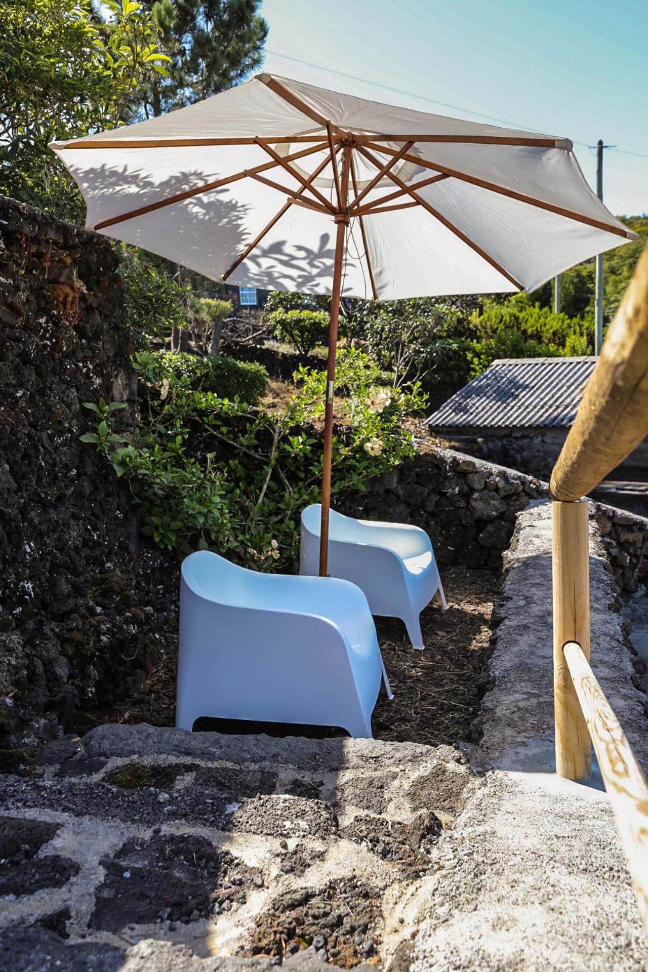 Adega Baía Azul - The essence of Pico view 5