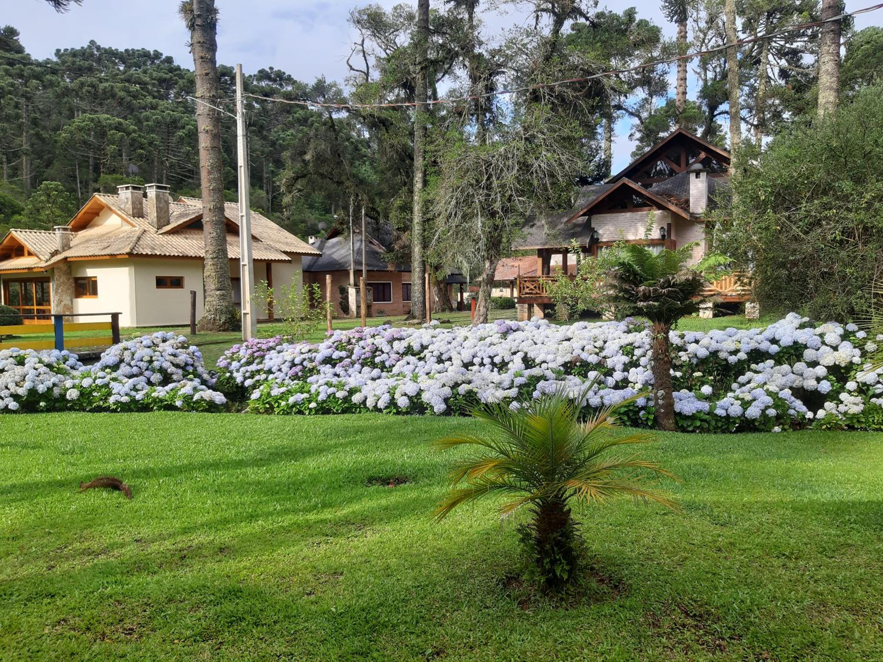Casa MARAVILHOSA com 4 Suítes em Condomínio