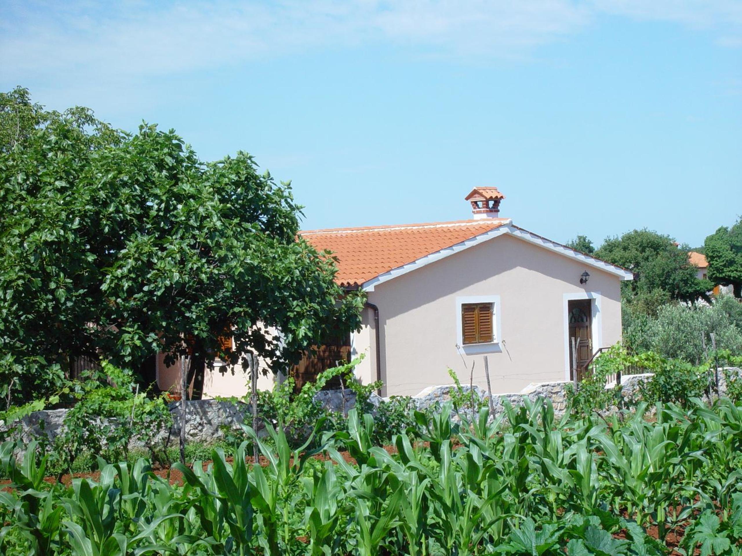 Photo 24