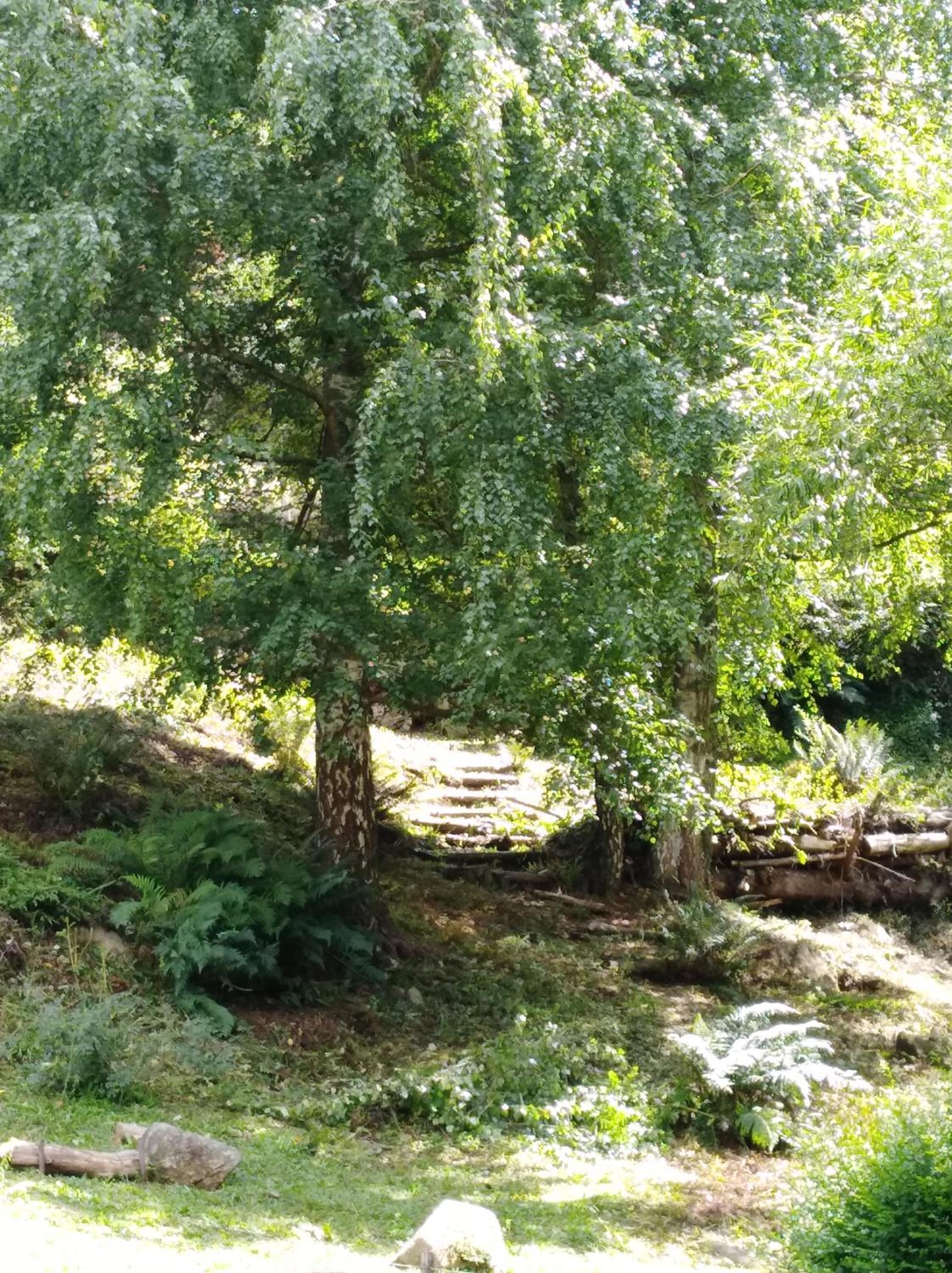 VISTA FRANCA