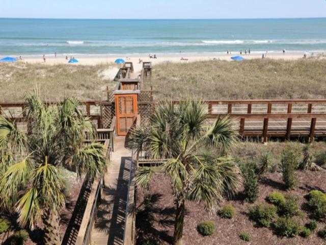 Sea Life - OCEANFRONT! Pleasure Island Paradise! Lose yourself in the ocean views! condo