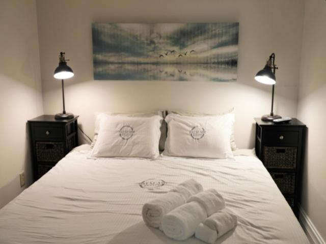 Sea Life - OCEANFRONT! Pleasure Island Paradise! Lose yourself in the ocean views! condo