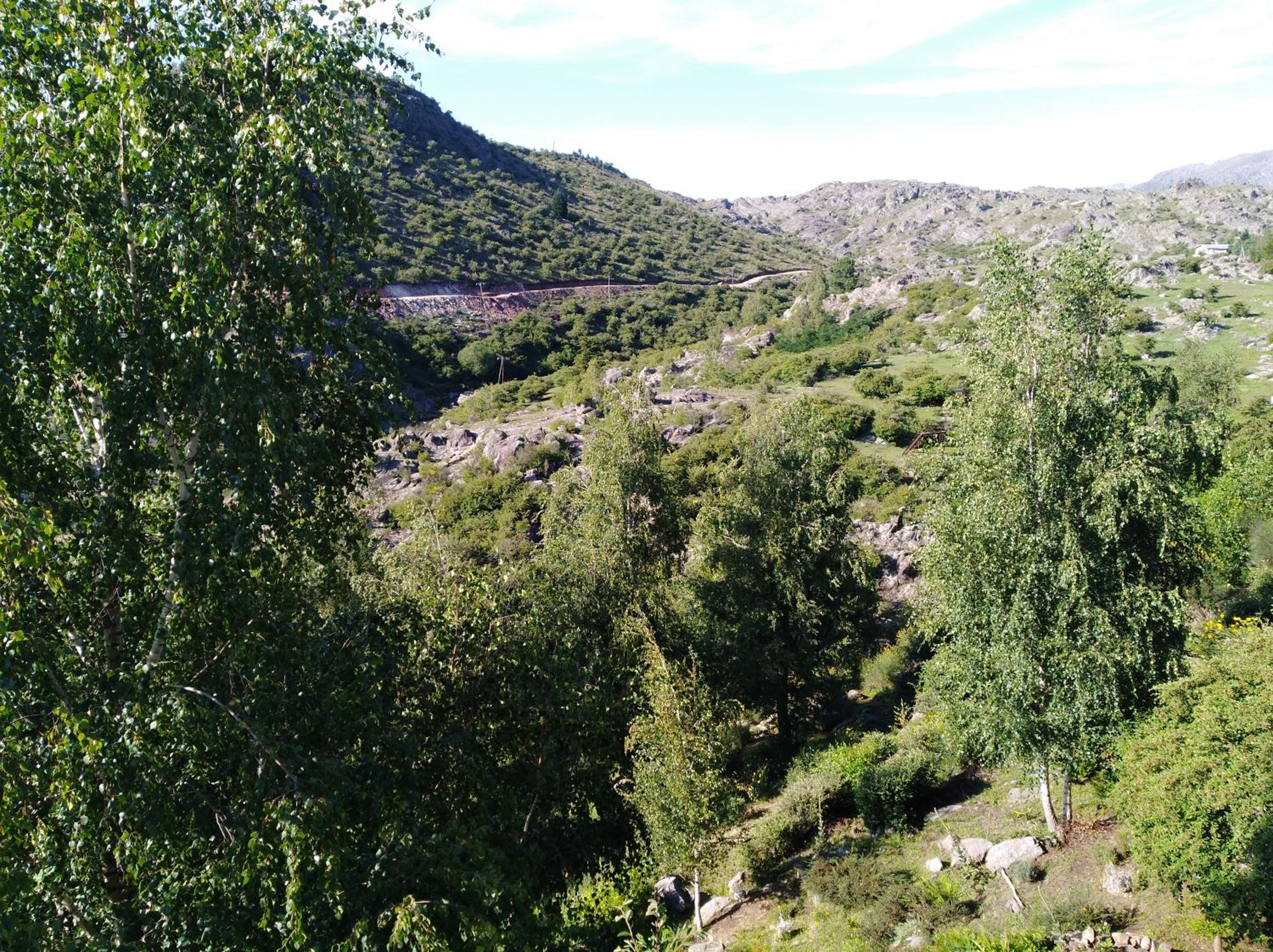 VISTA FRANCA