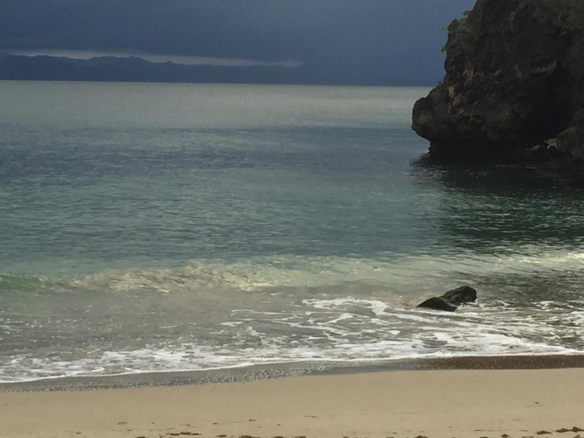 Vista Mare Samana The Best View!! view 2