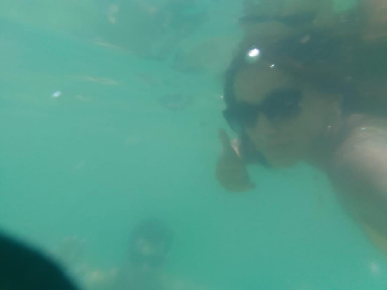 Casa praias de São Gonçalo em Paraty RJ