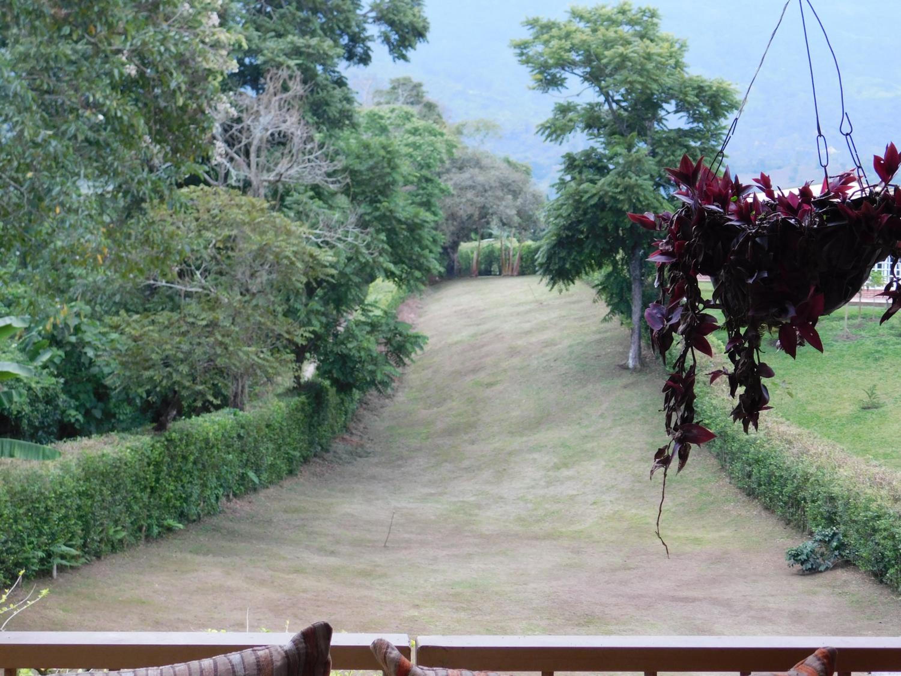Casa Campo alojamiento campestre para descanso en Calarcá Quindío
