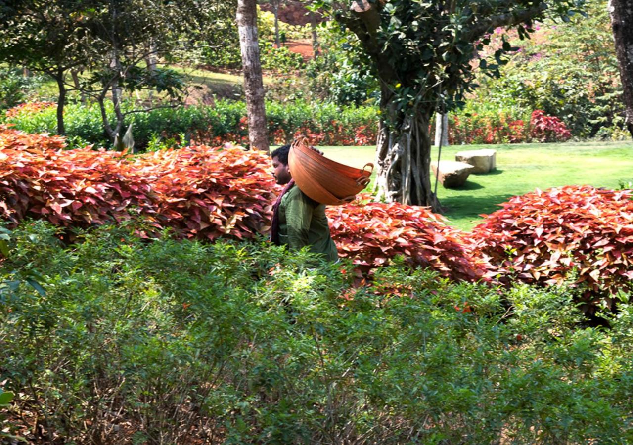 Photo 36